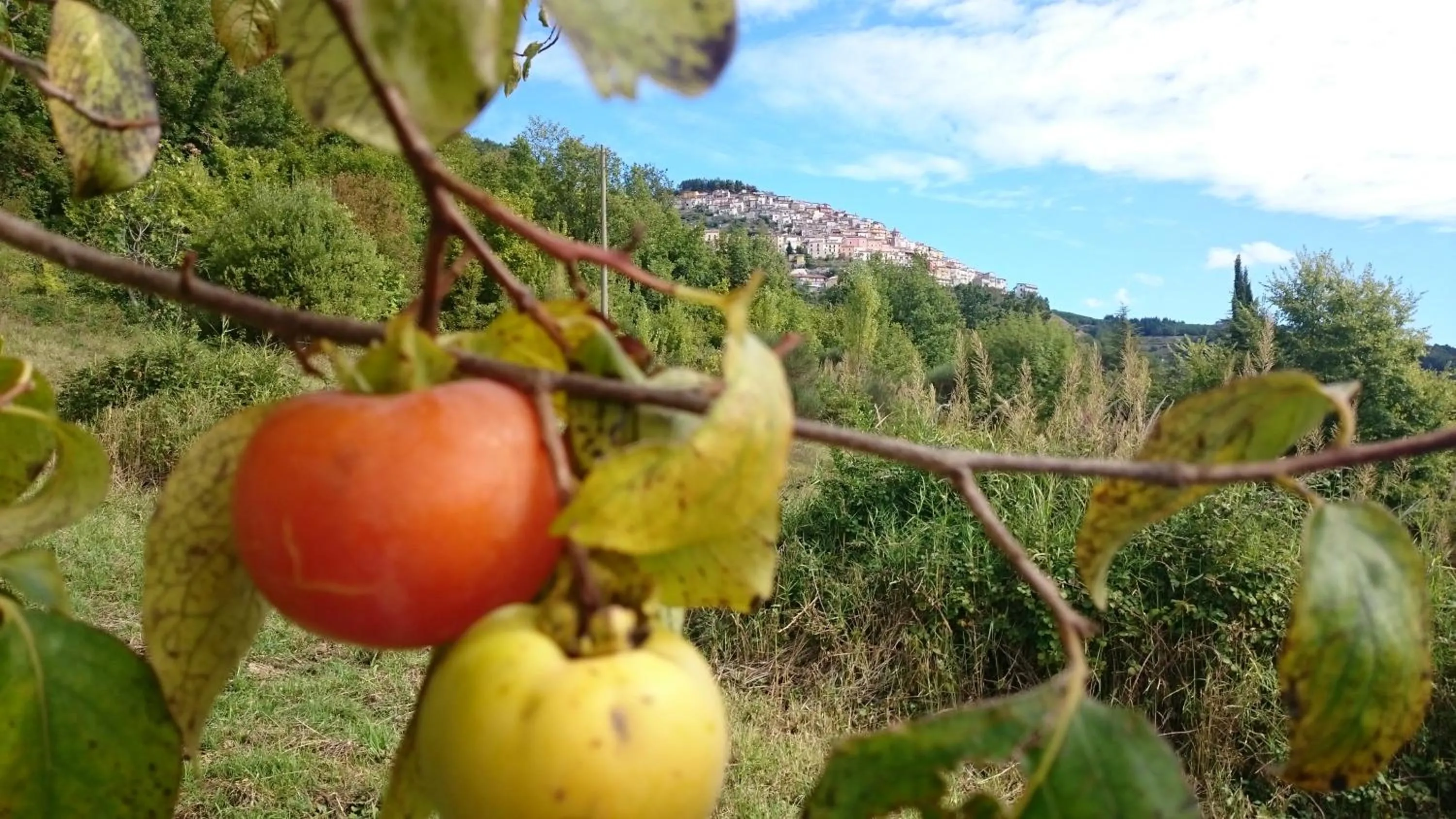 Landmark view in Hotel Sette E Mezzo