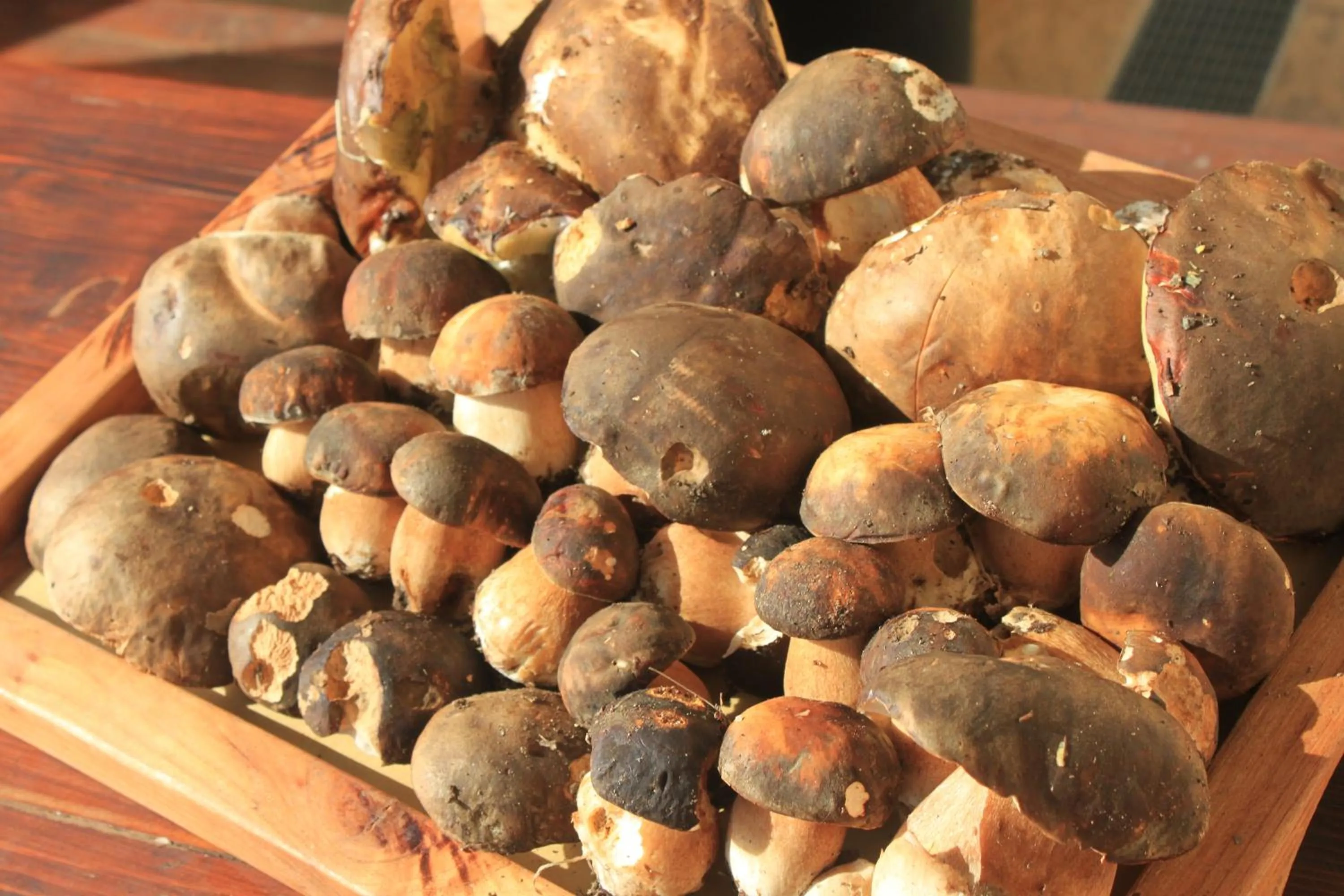 Restaurant/places to eat in Hotel Sette E Mezzo