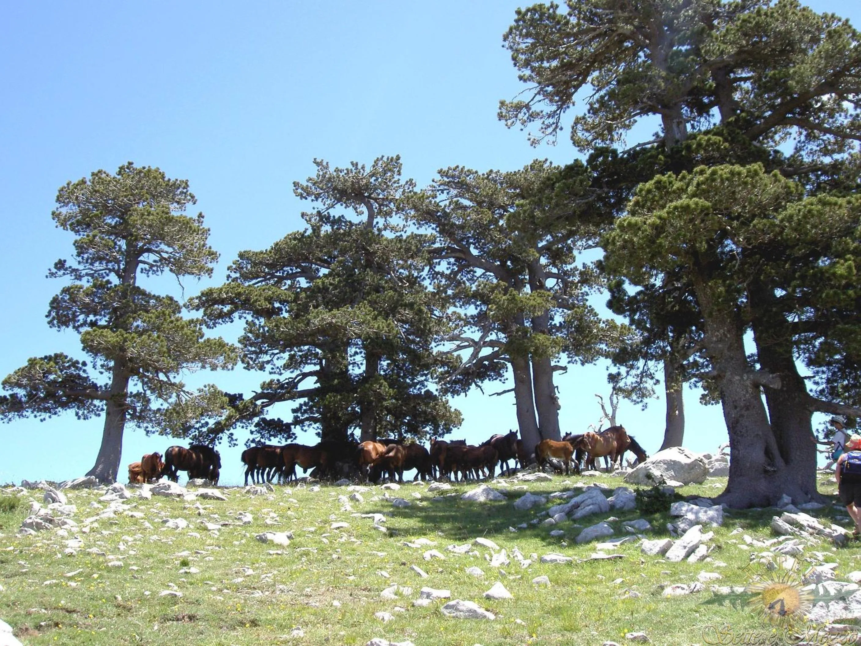 Area and facilities in Hotel Sette E Mezzo