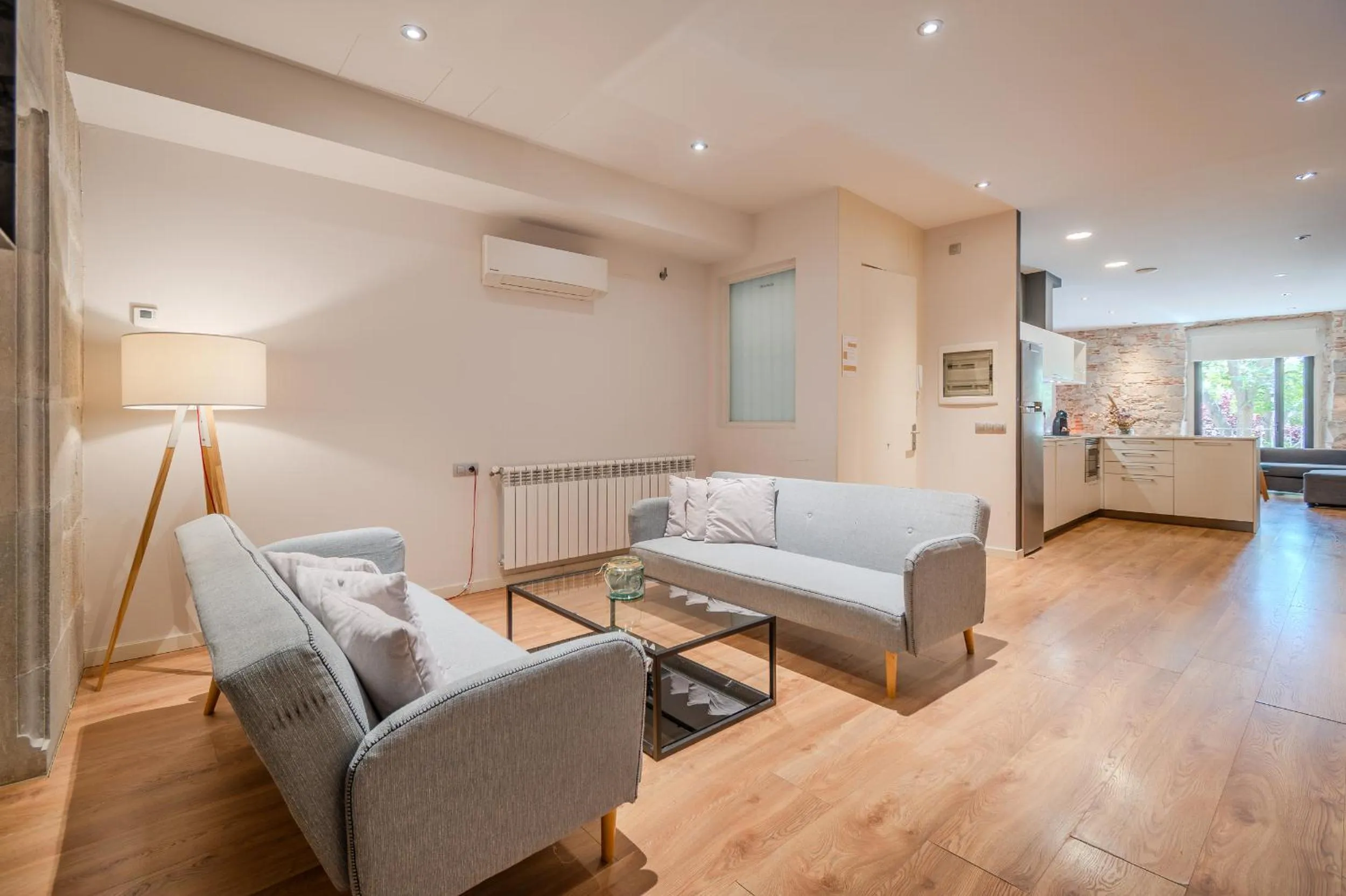 Living room in Flateli Plaça Catalunya 1-2