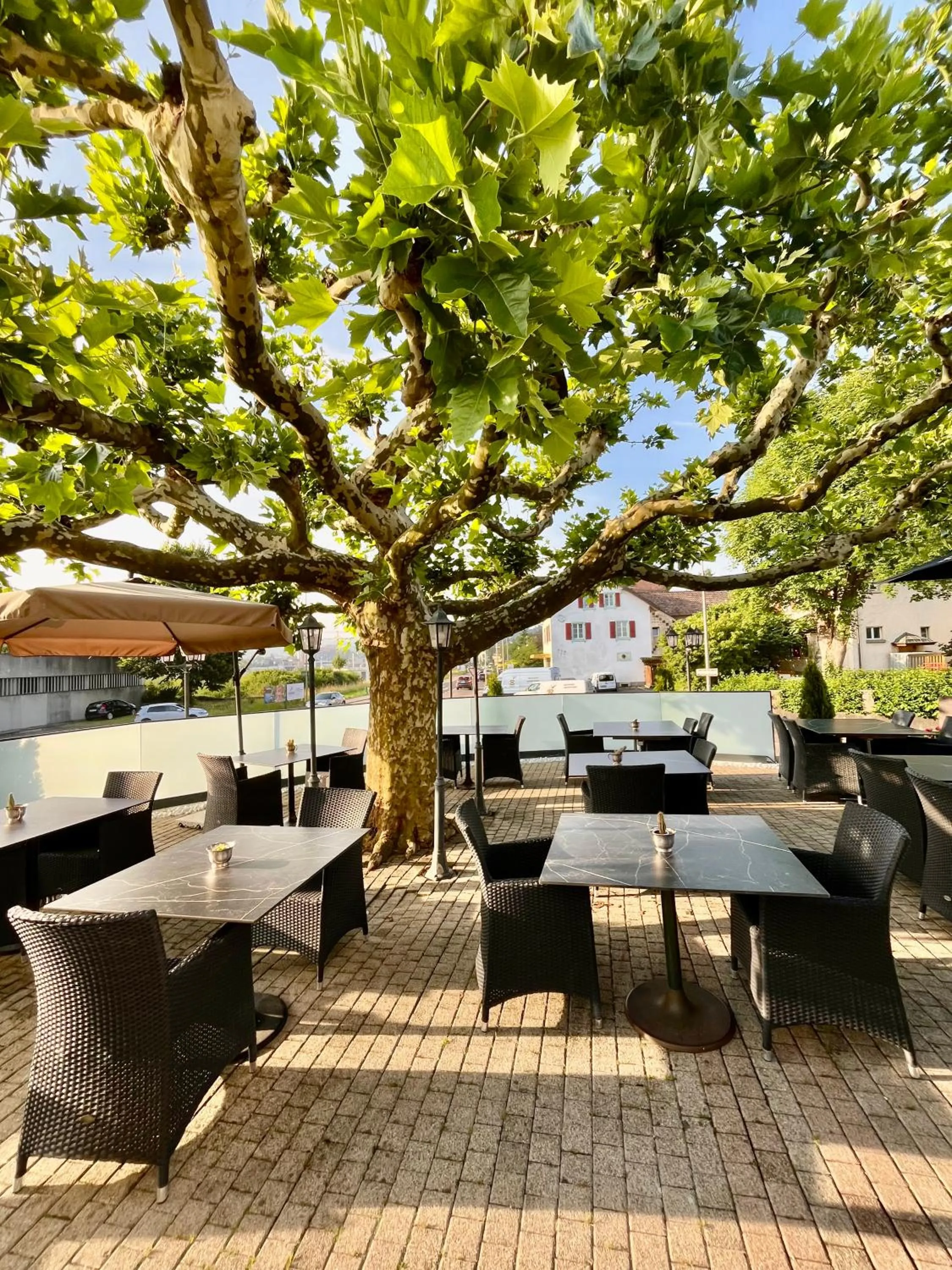 Restaurant/places to eat in Seiler's Hotel