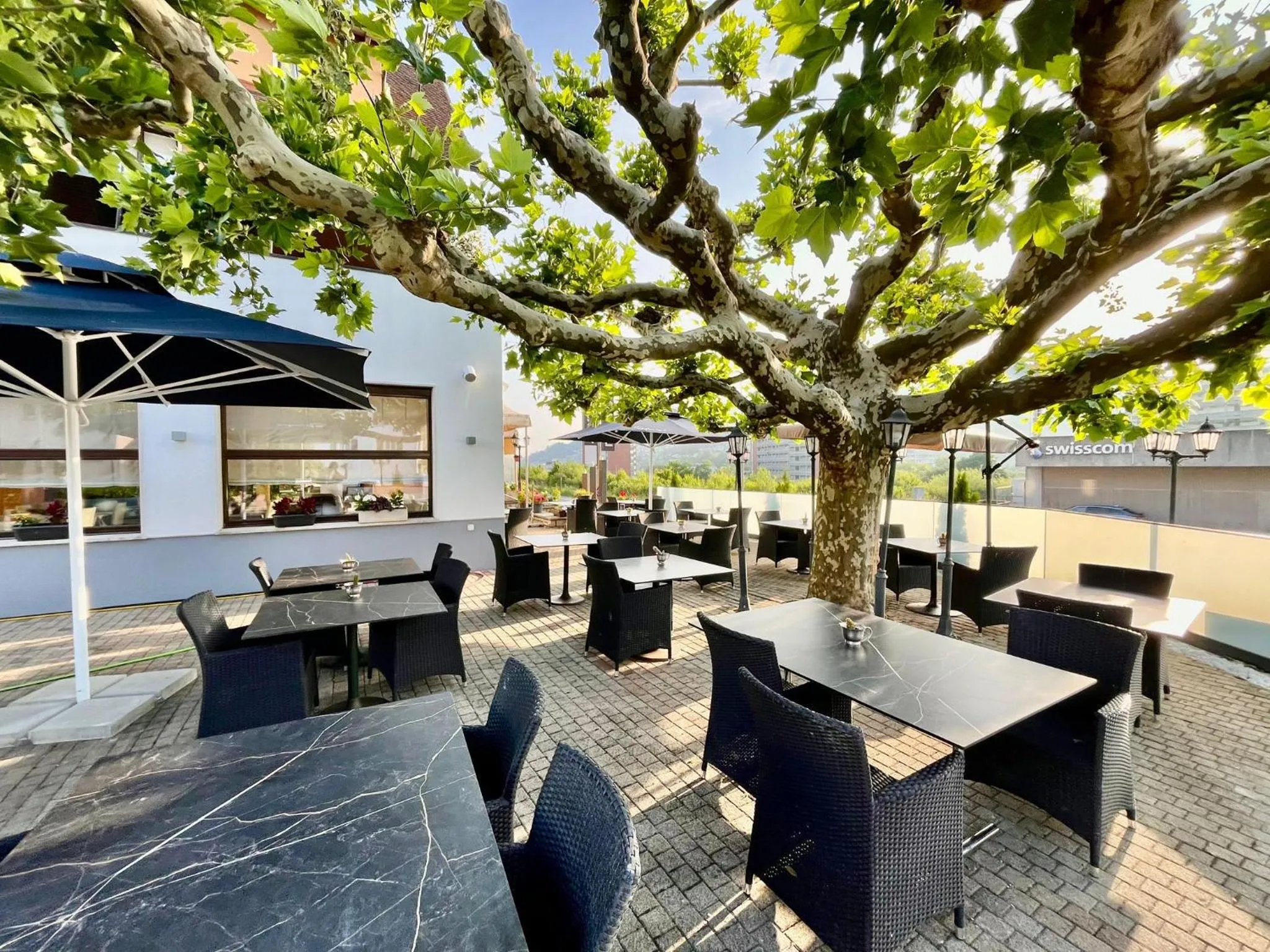 Garden in Seiler's Hotel