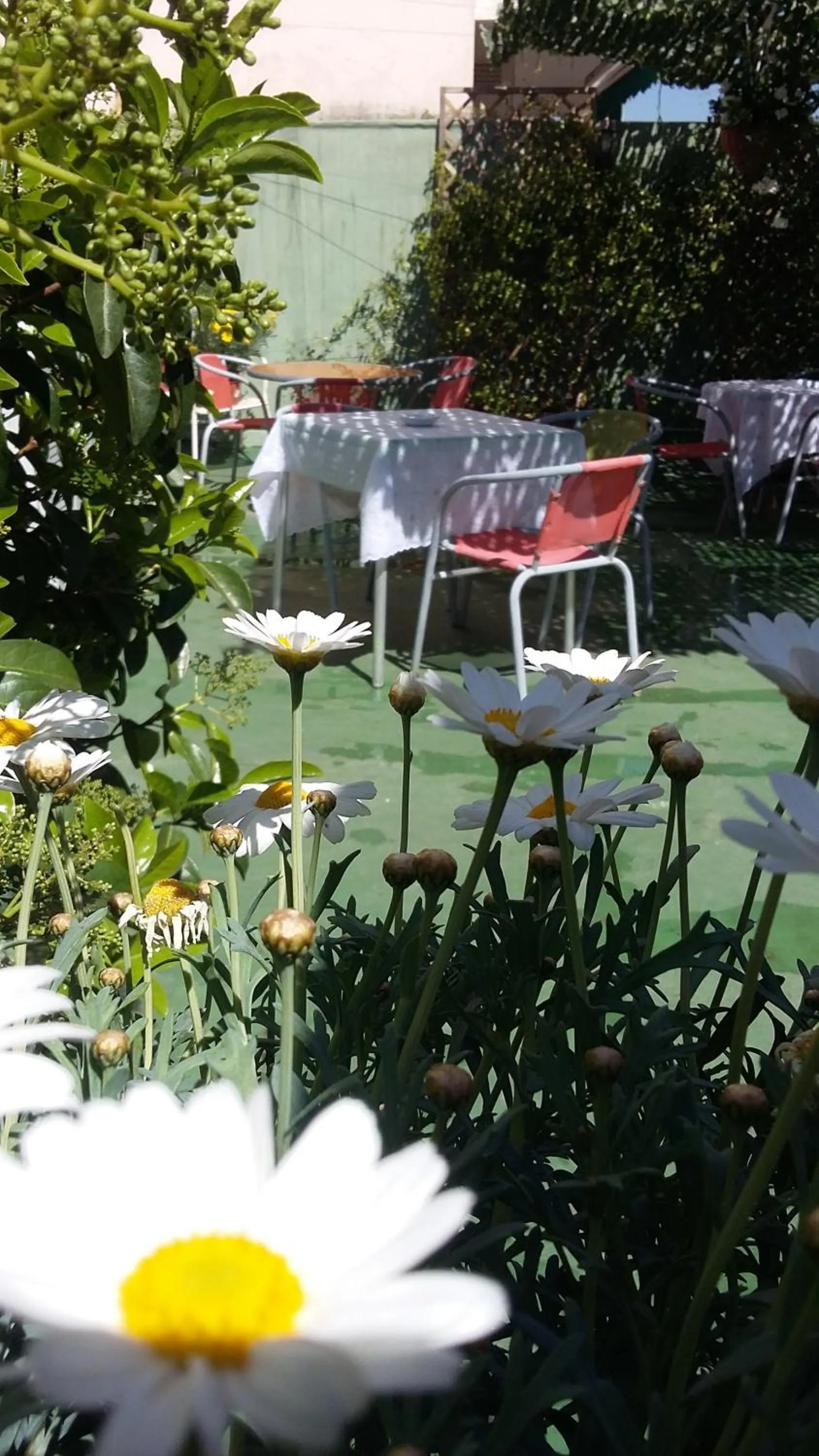 Balcony/Terrace in B&B Dolcevita