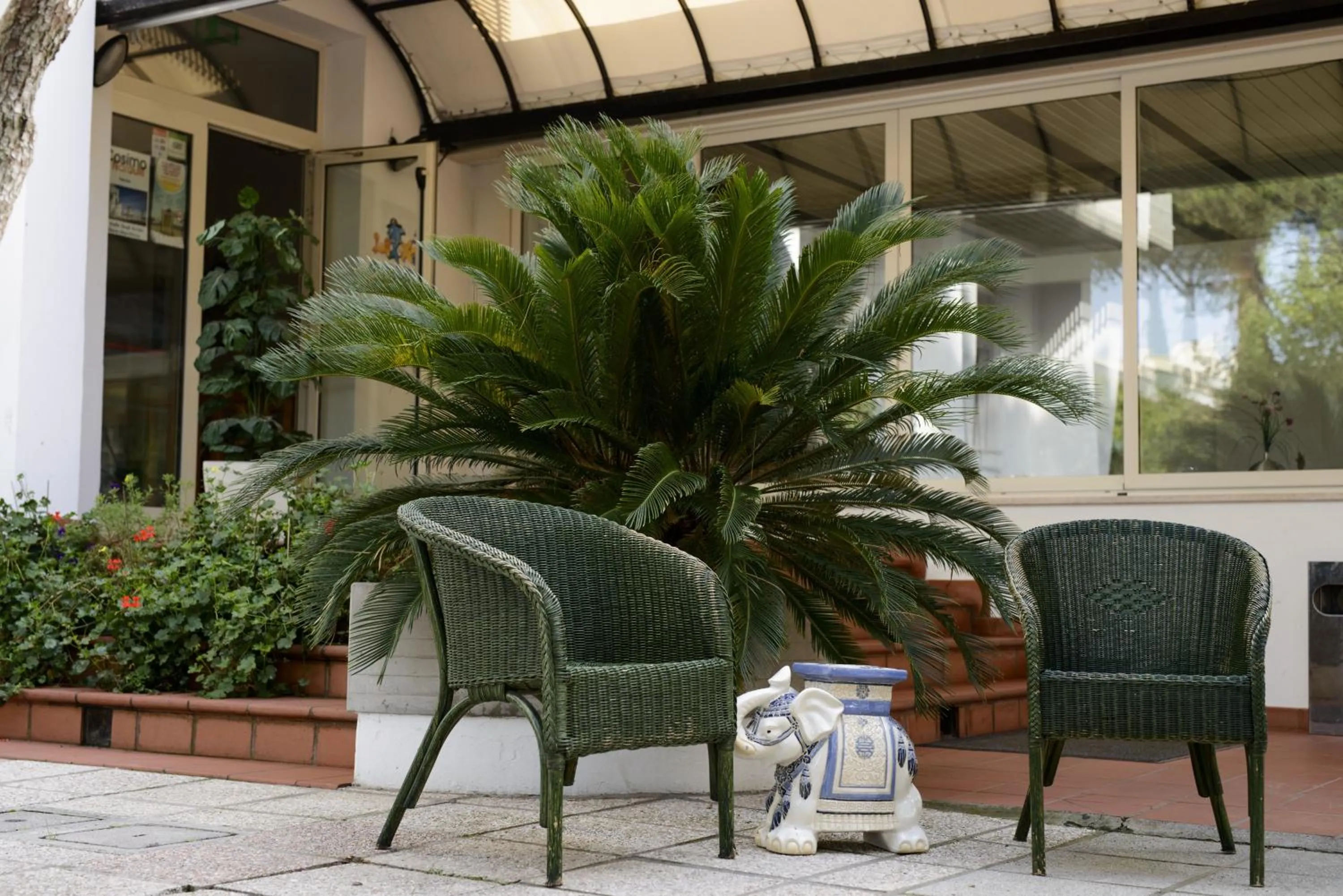 Garden in Hotel Suisse