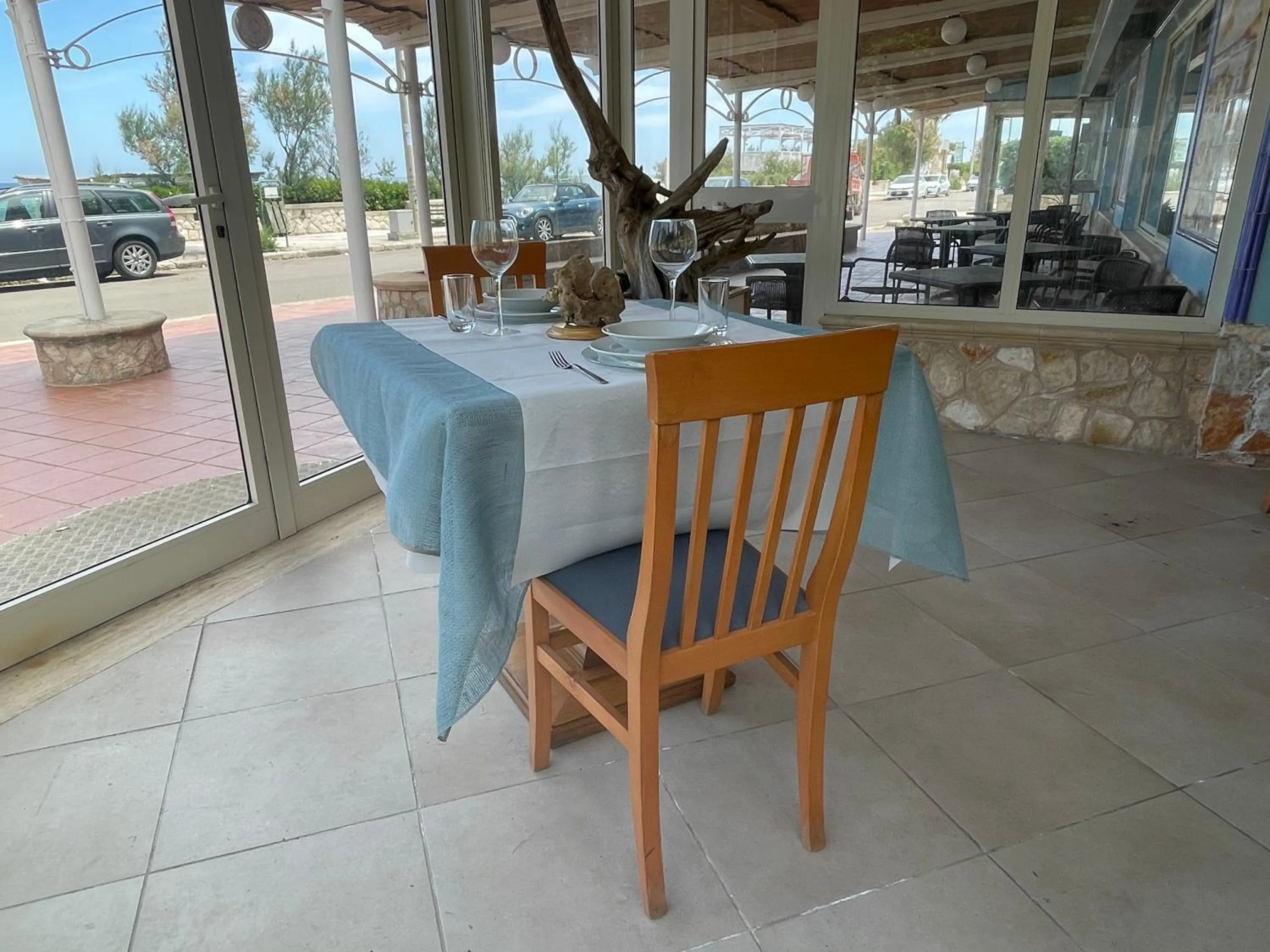 Gatto Bianco Casalabate