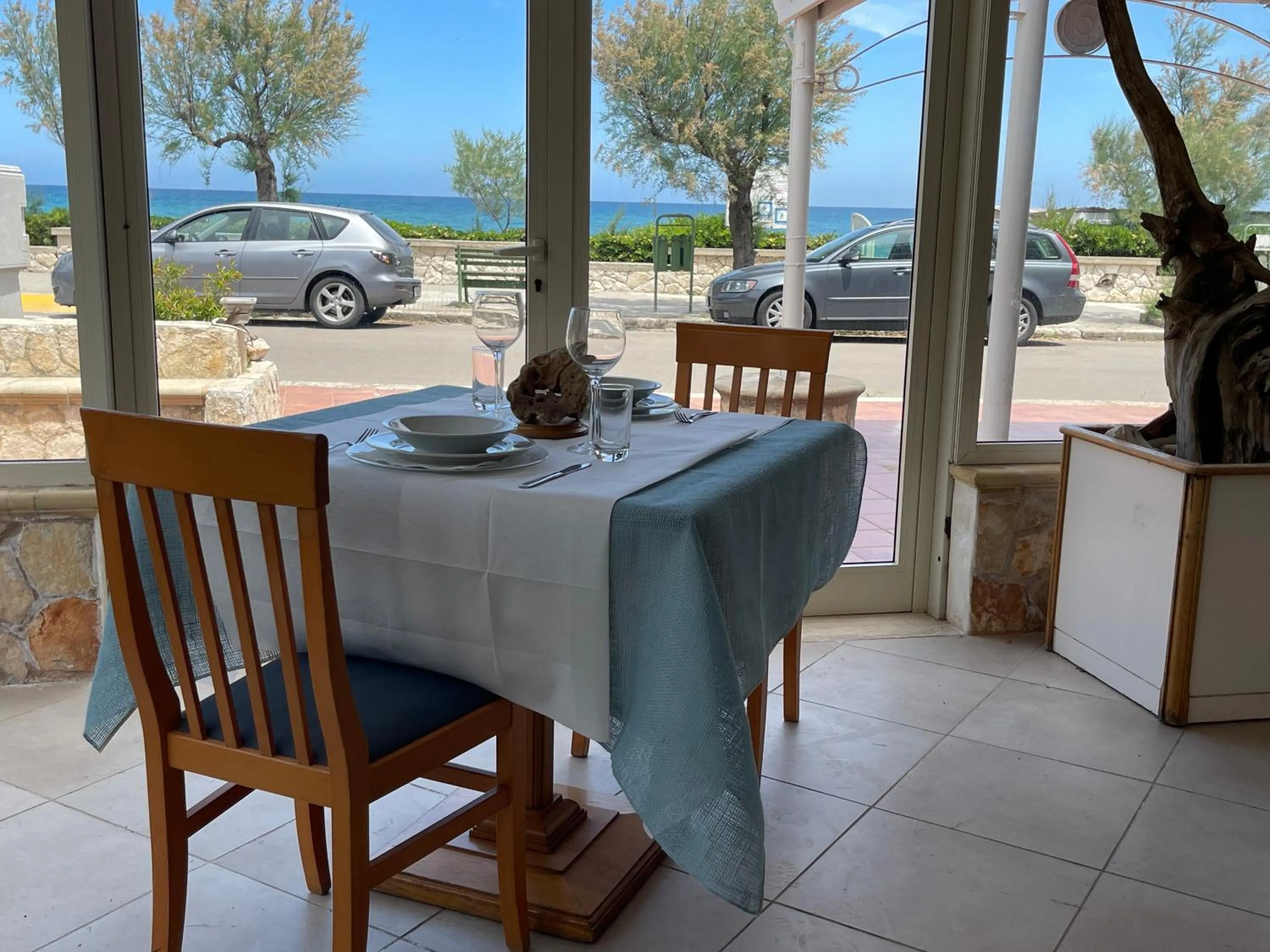 Gatto Bianco Casalabate