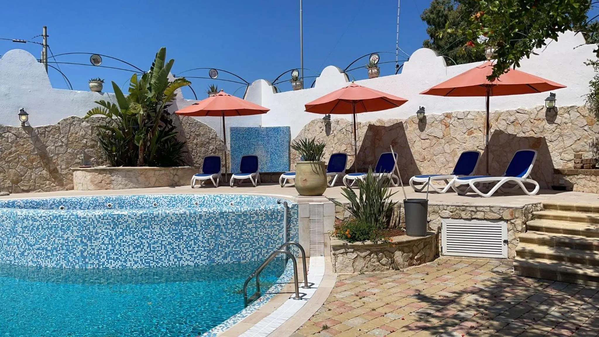 Gatto Bianco Casalabate