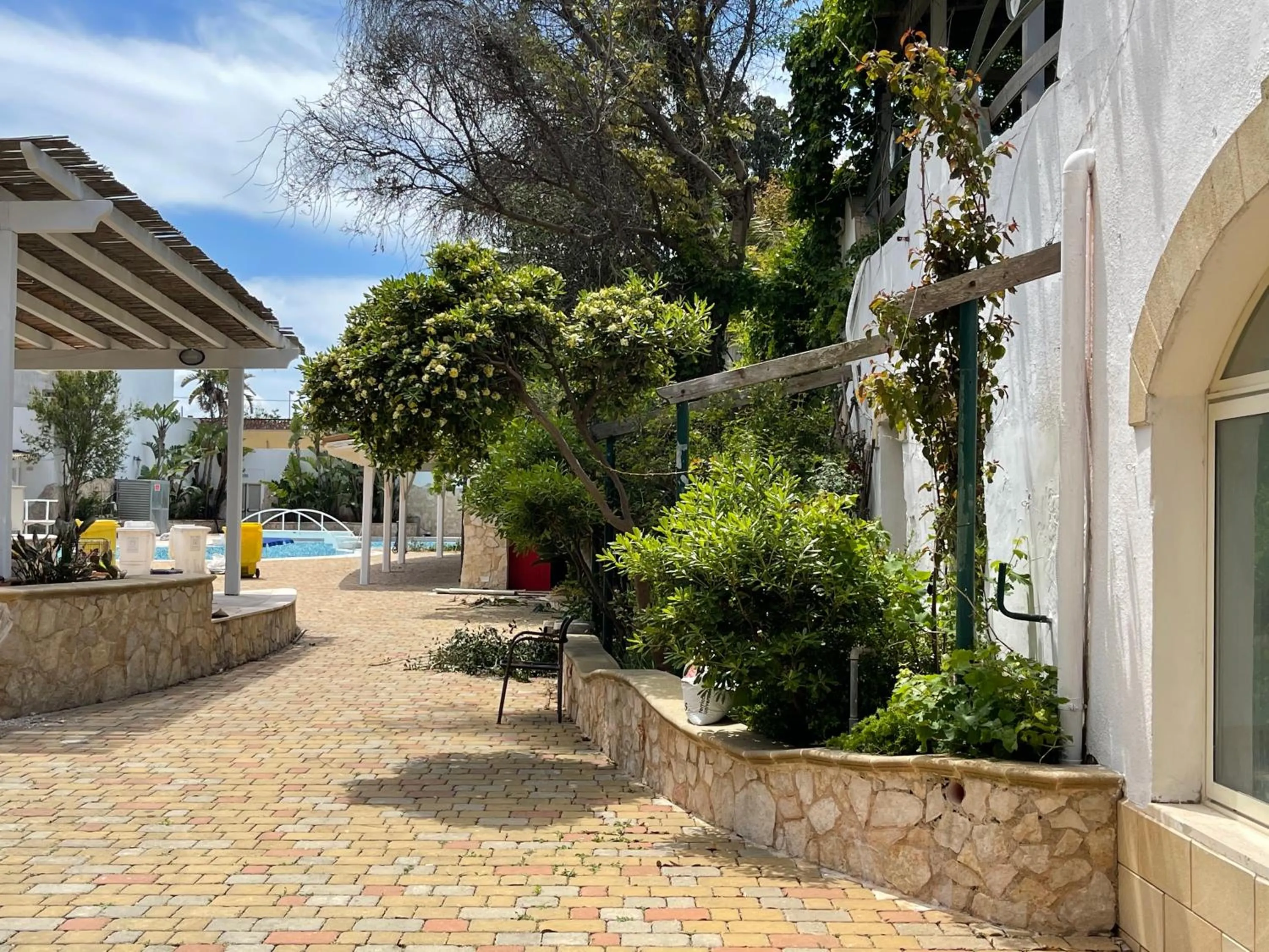 Gatto Bianco Casalabate