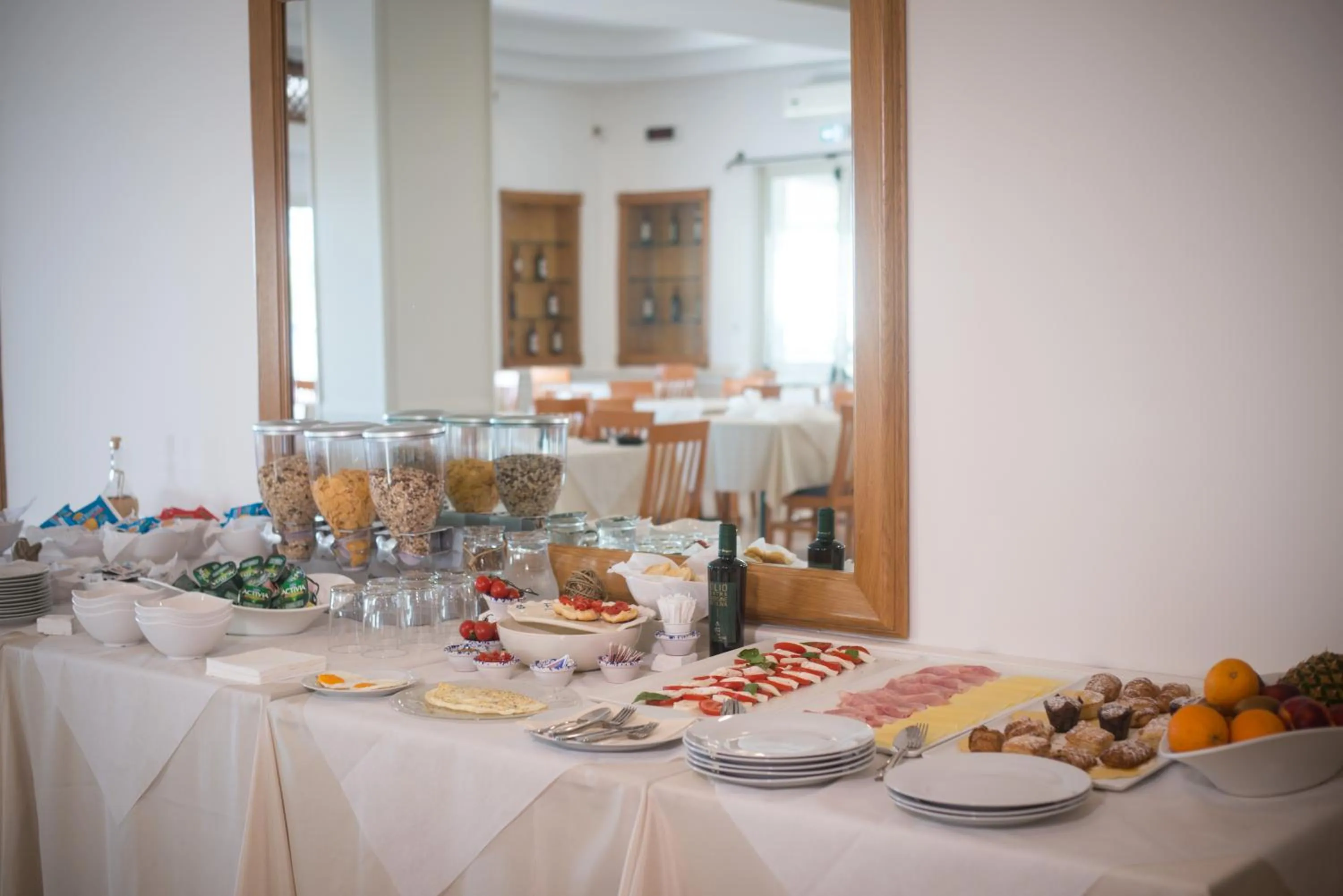 Gatto Bianco Casalabate