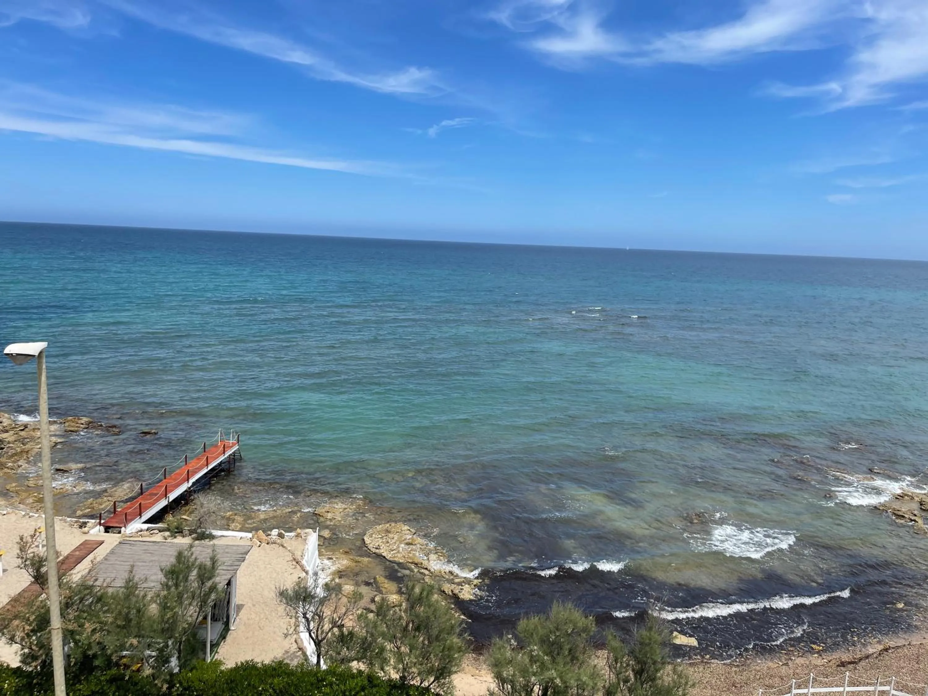 Gatto Bianco Casalabate