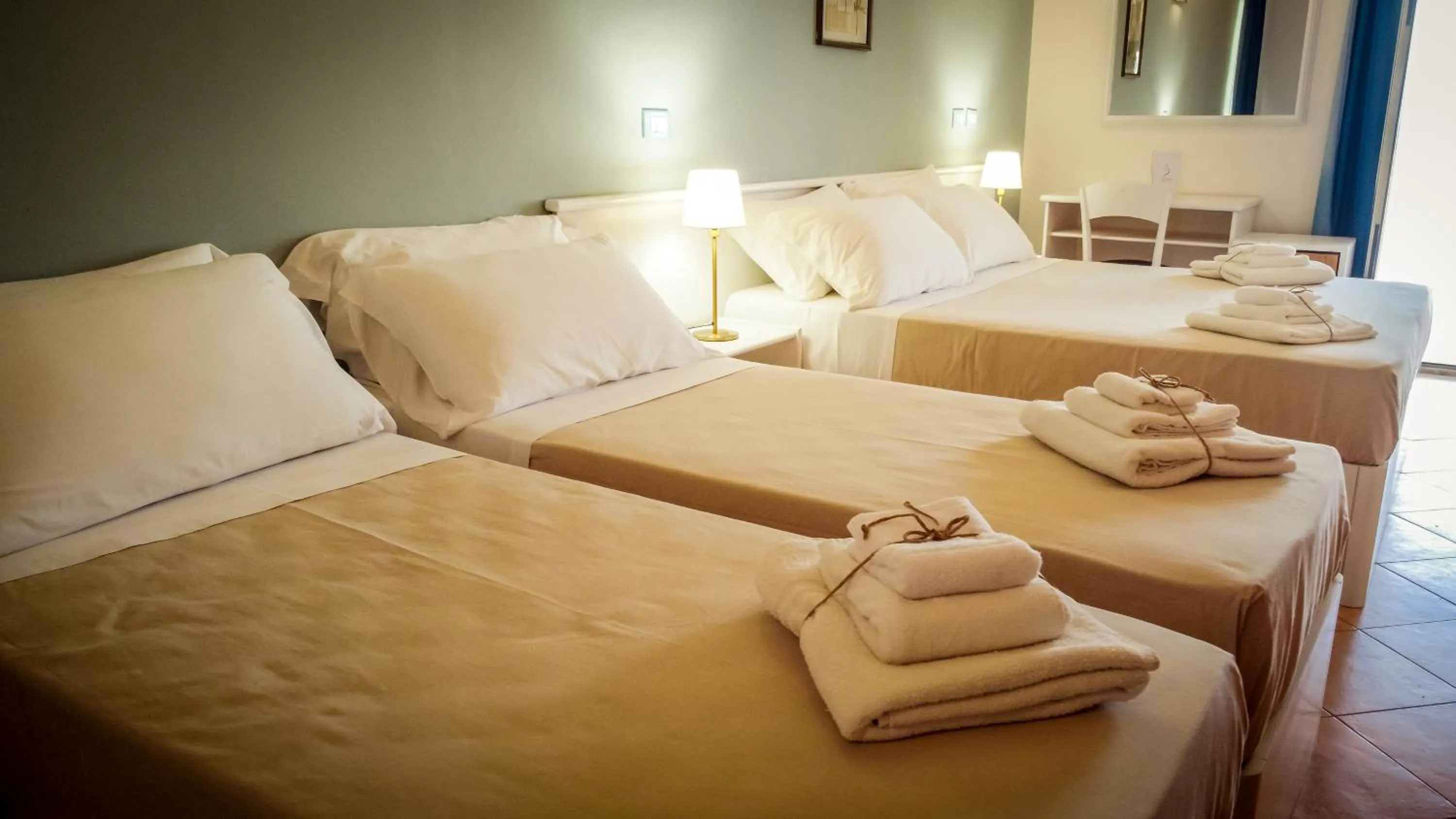 Gatto Bianco Casalabate