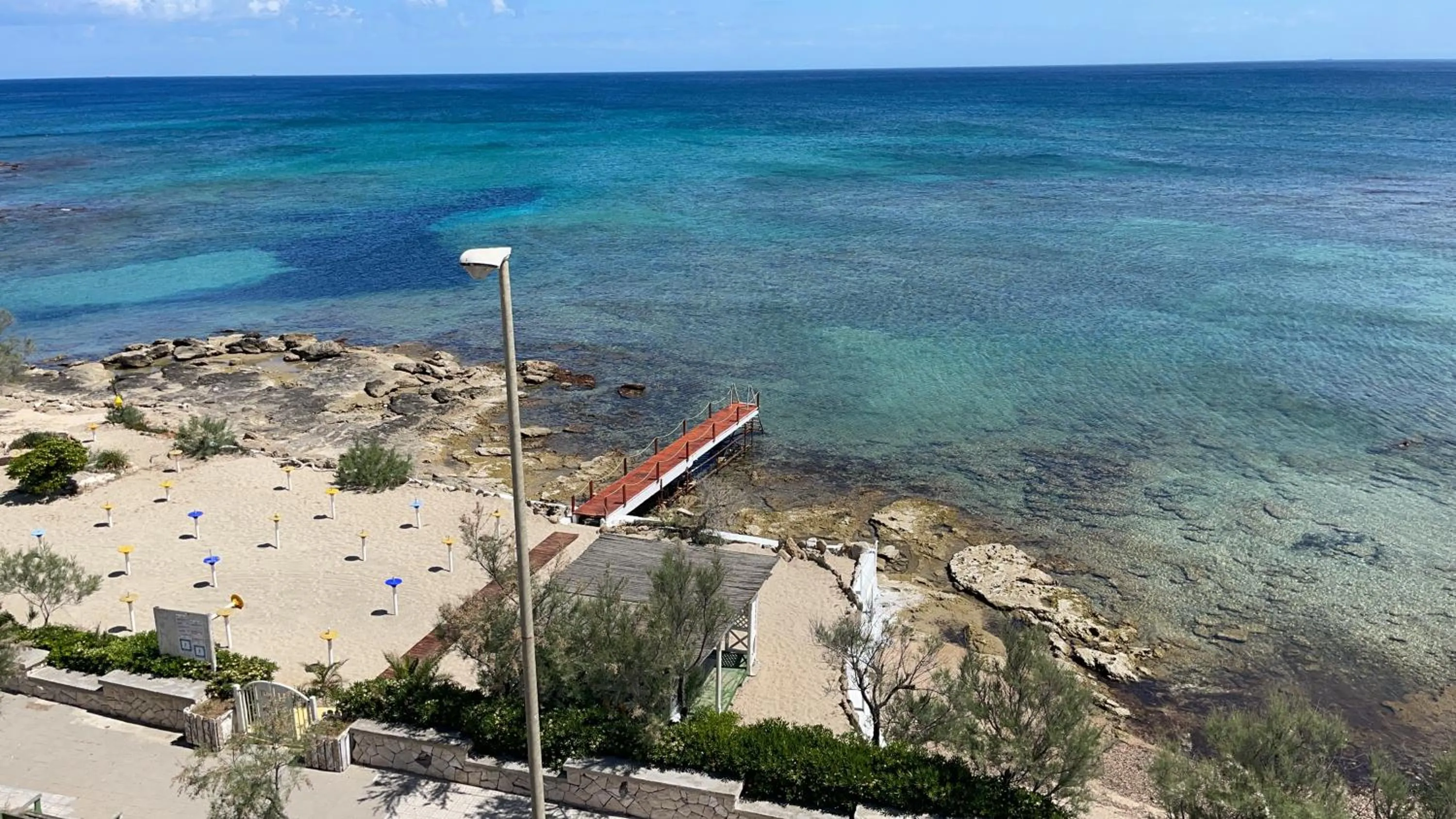 Gatto Bianco Casalabate