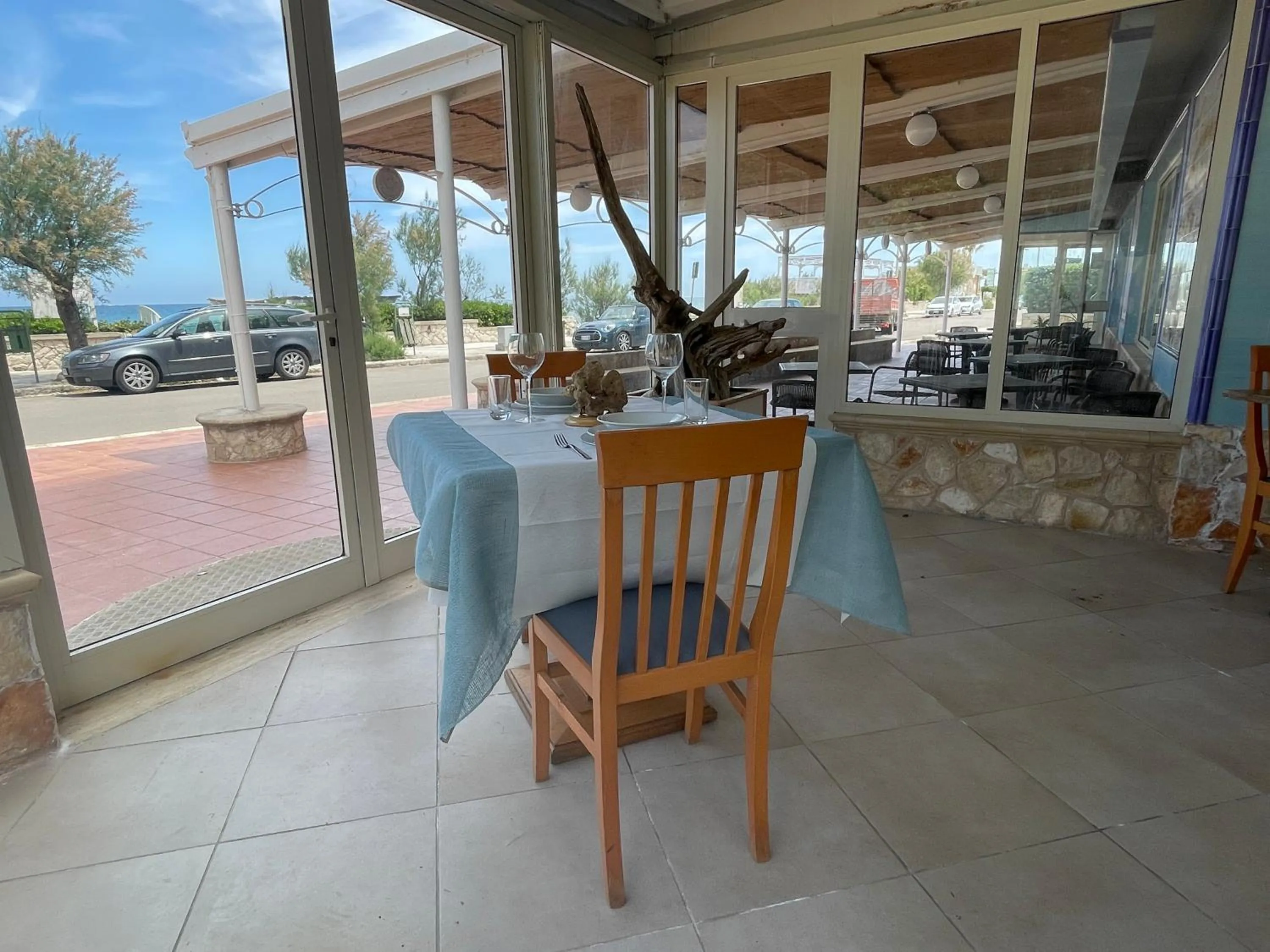 Gatto Bianco Casalabate