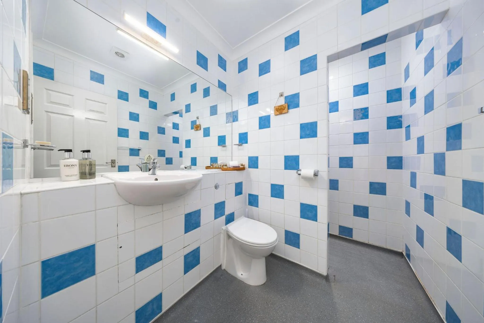 Bathroom in The Grapes Pub