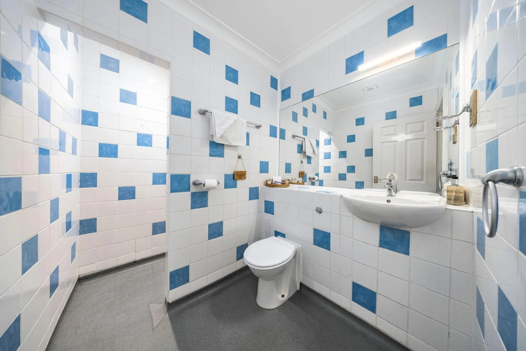 Bathroom in The Grapes Pub