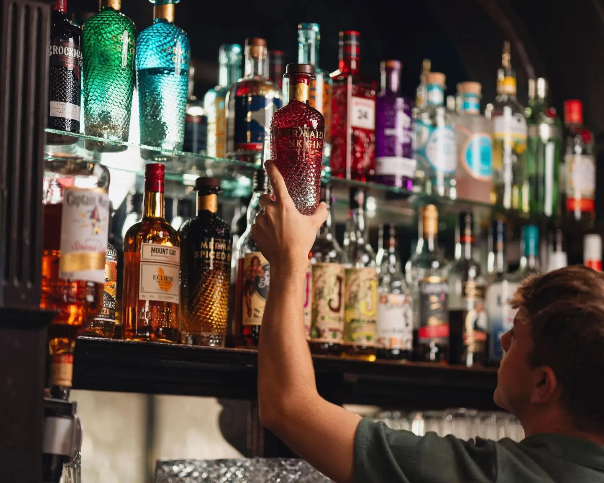 Lounge or bar in The Grapes Pub Lounge or bar in The Grapes Pub