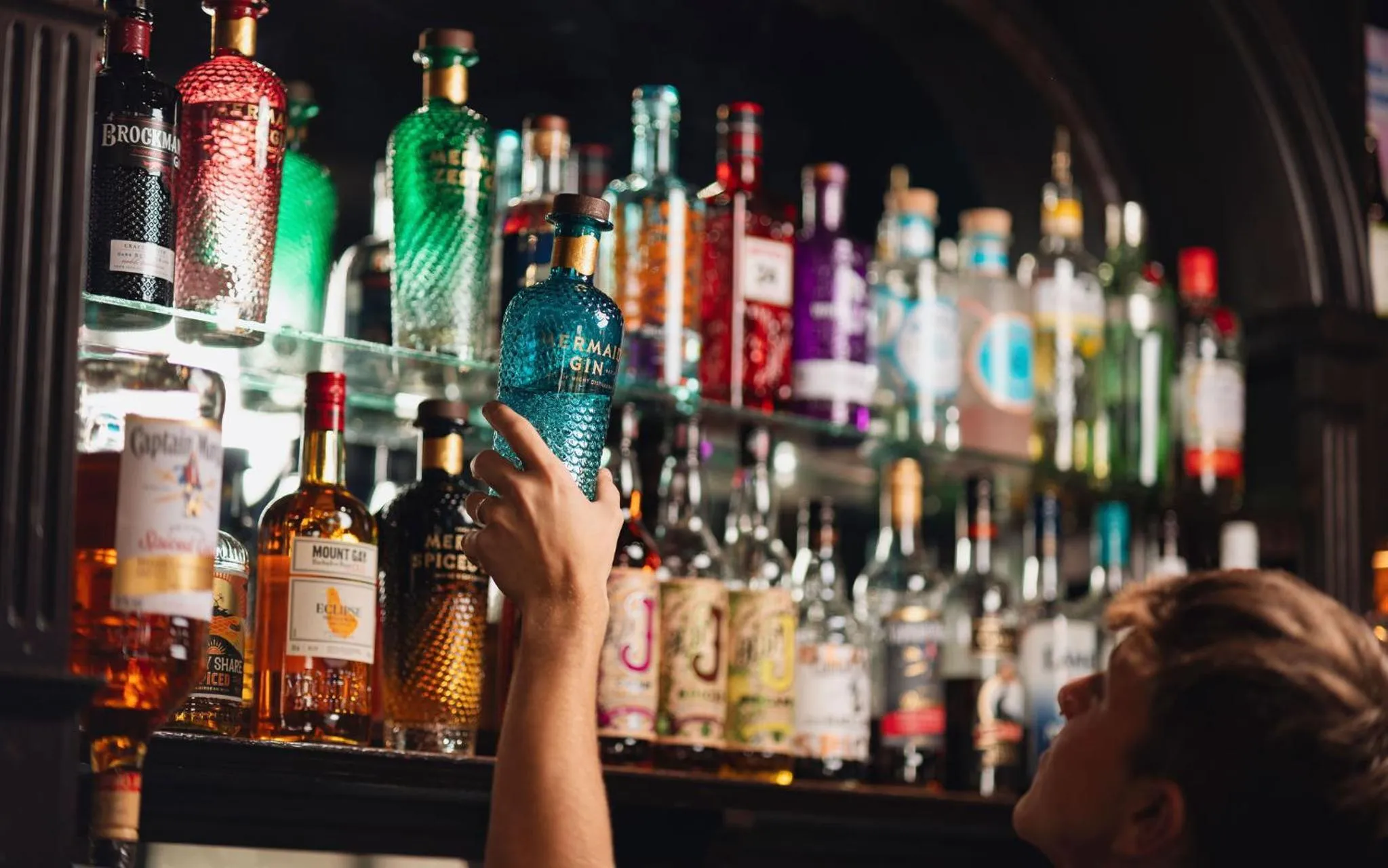 Lounge or bar in The Grapes Pub