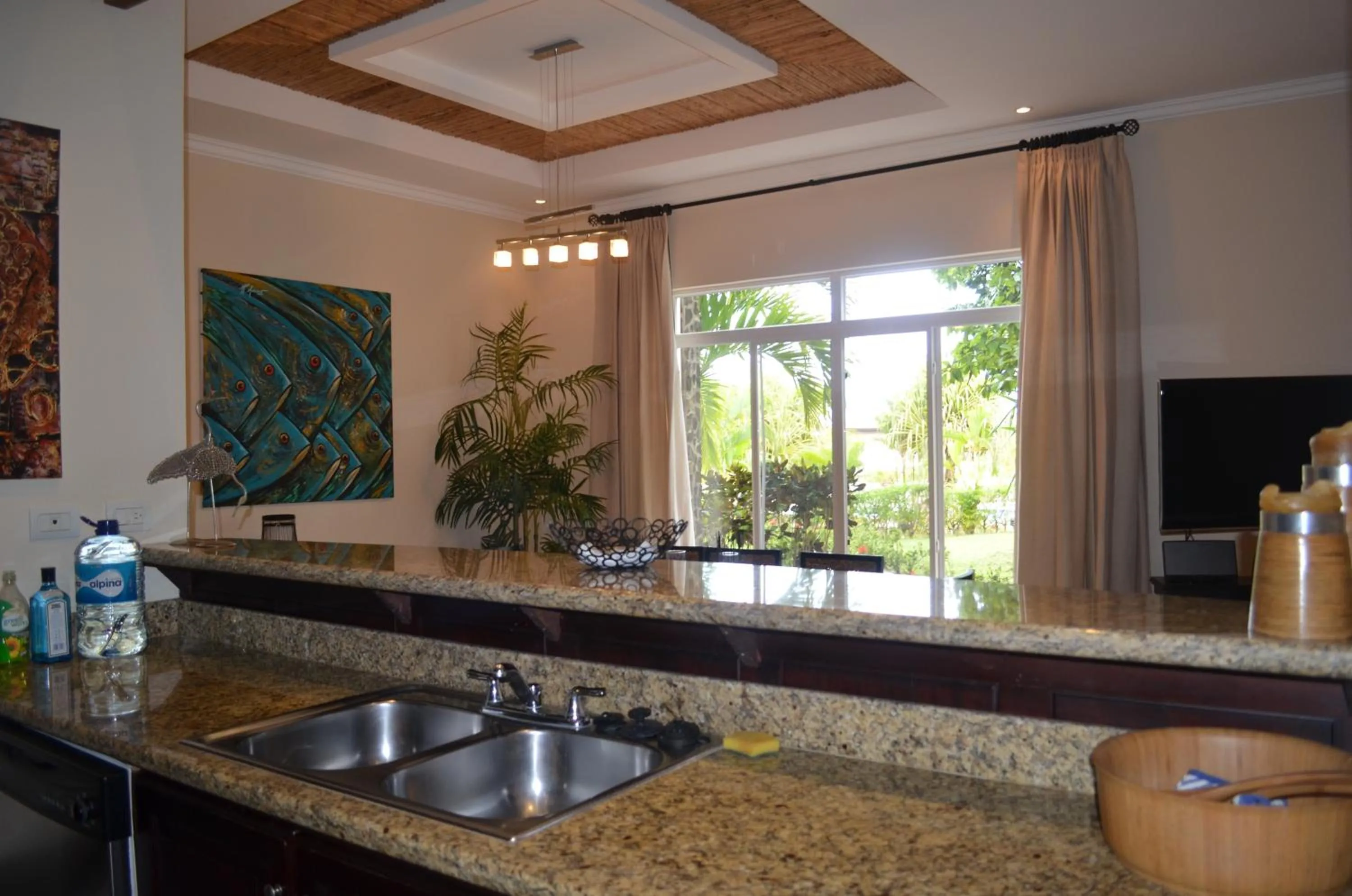 Palm Coast Luxury Rentals
