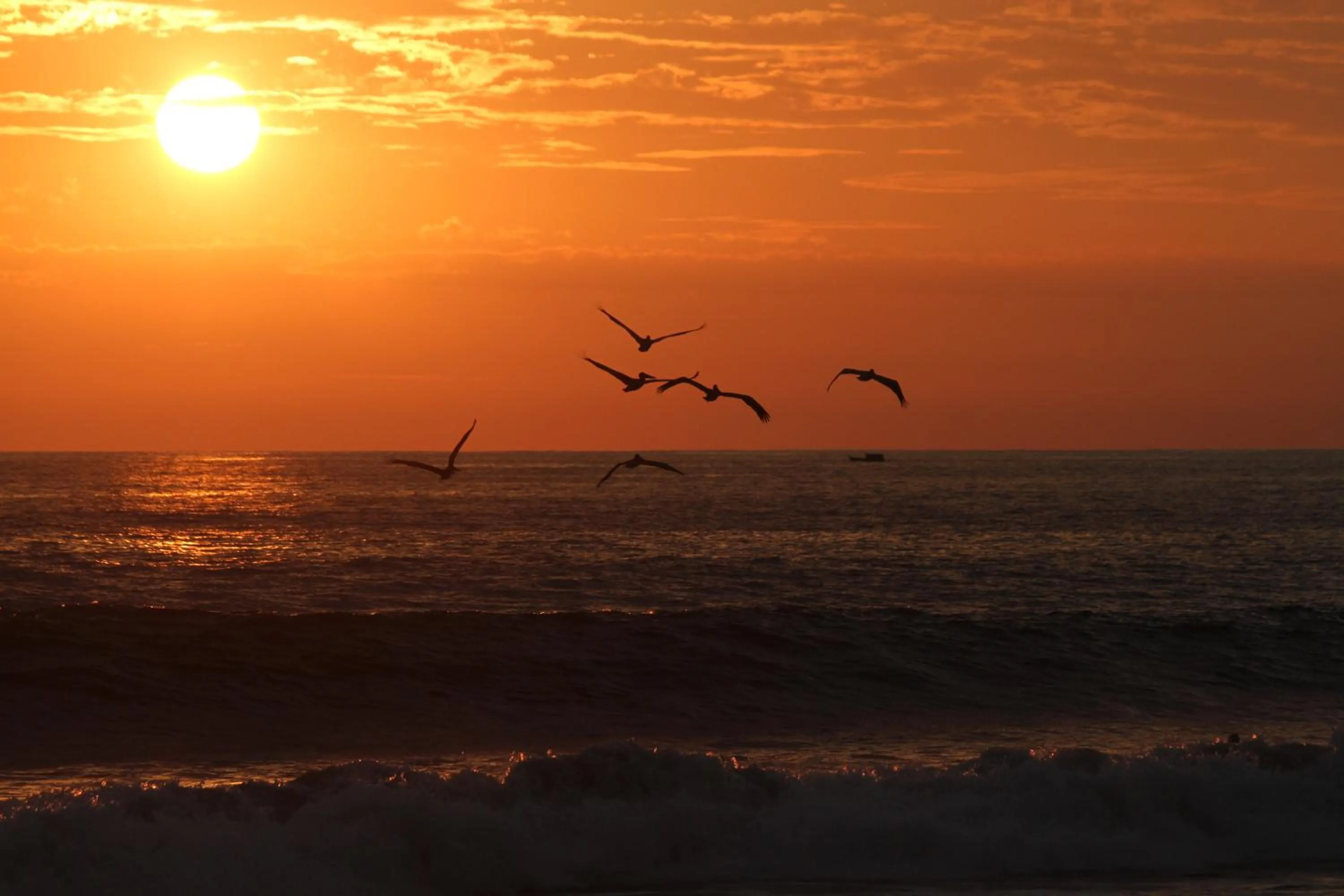 Palm Coast Luxury Rentals