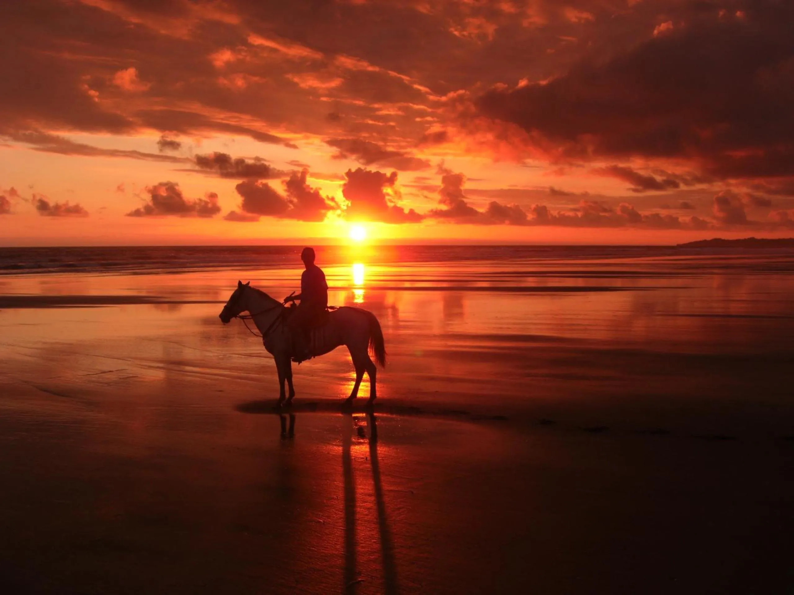 Palm Coast Luxury Rentals