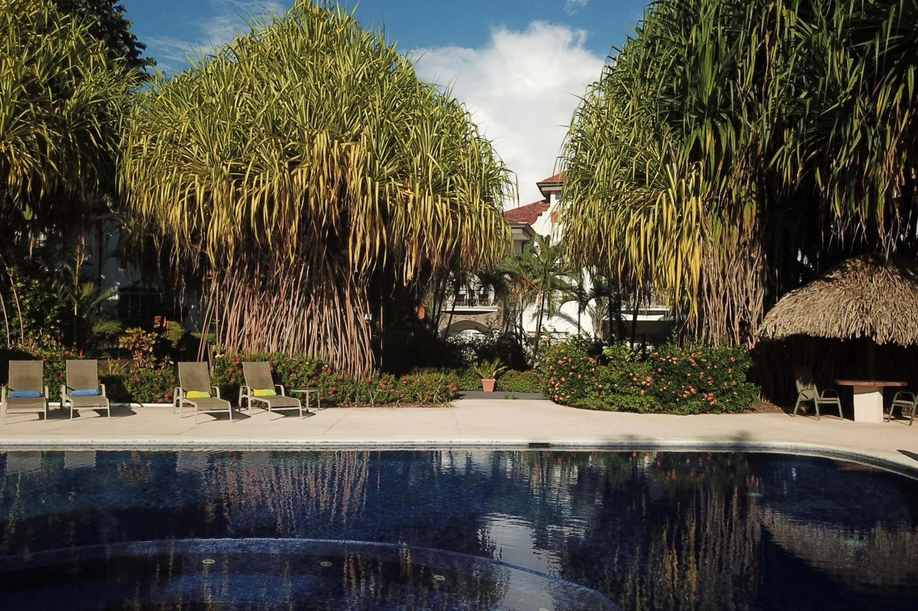 Palm Coast Luxury Rentals