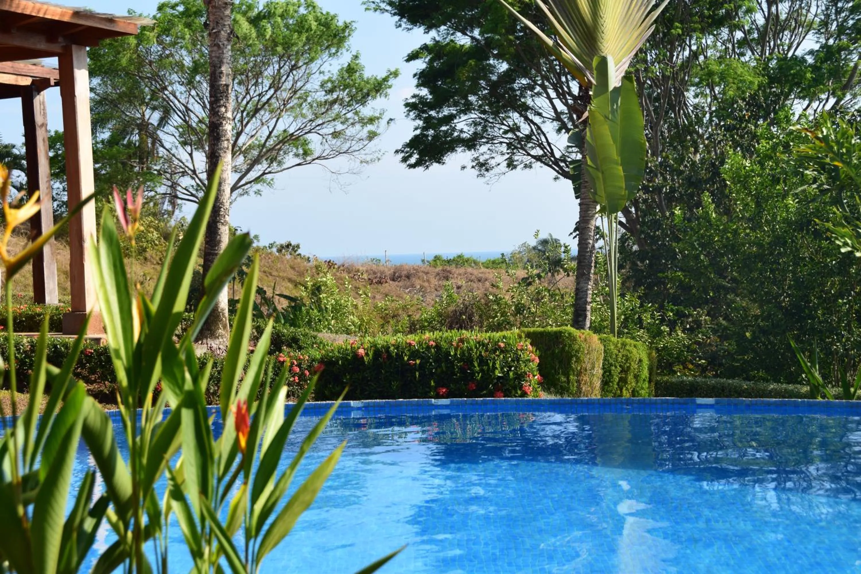 Palm Coast Luxury Rentals