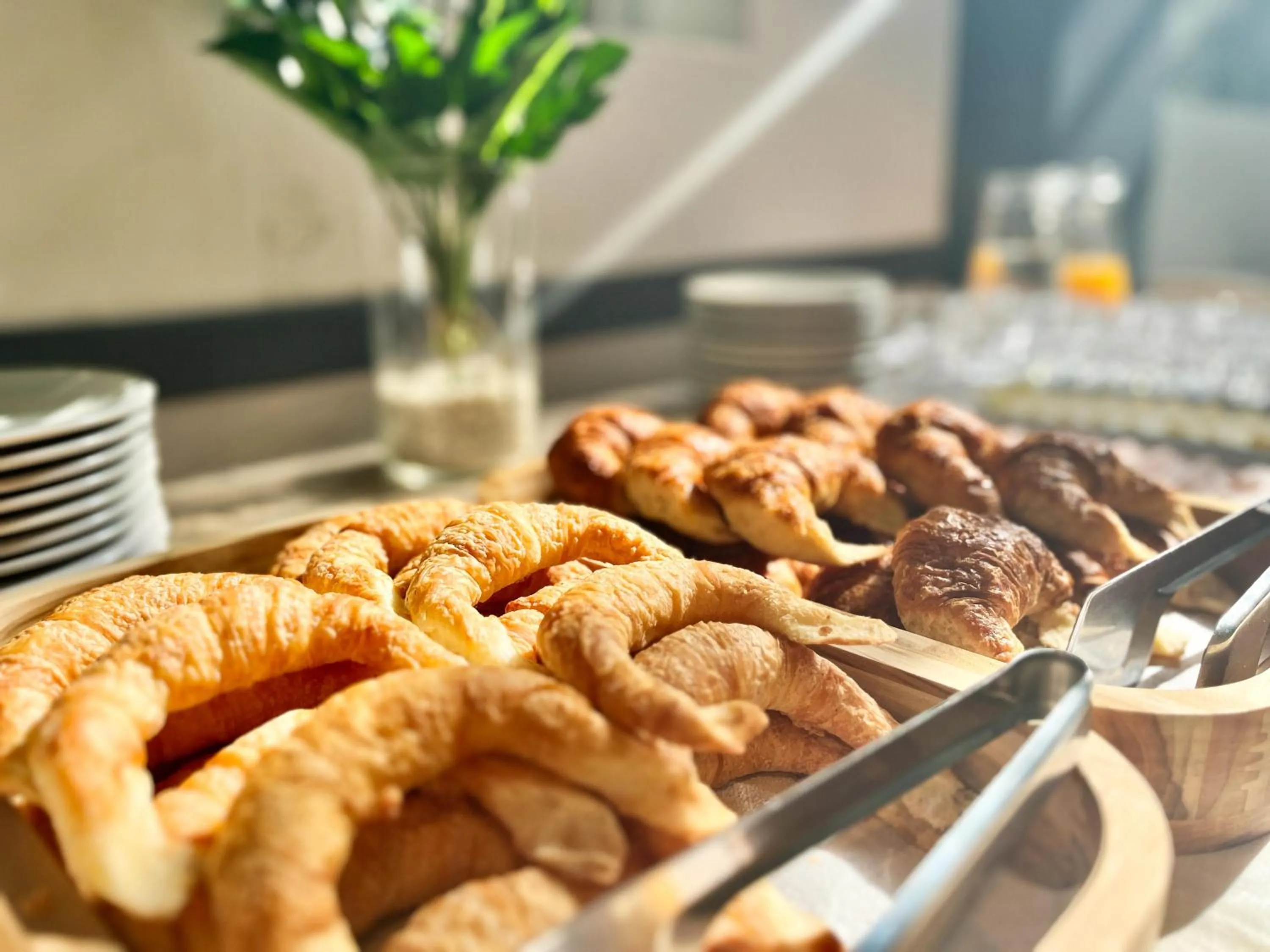 Food and drinks in Alpino Hotel