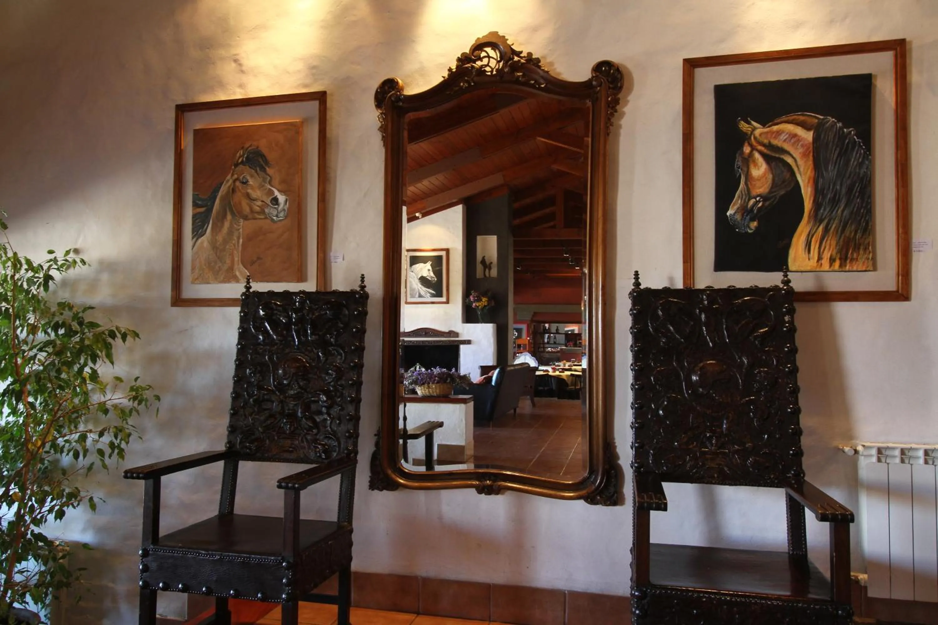 Area and facilities in Hostería Lunahuana