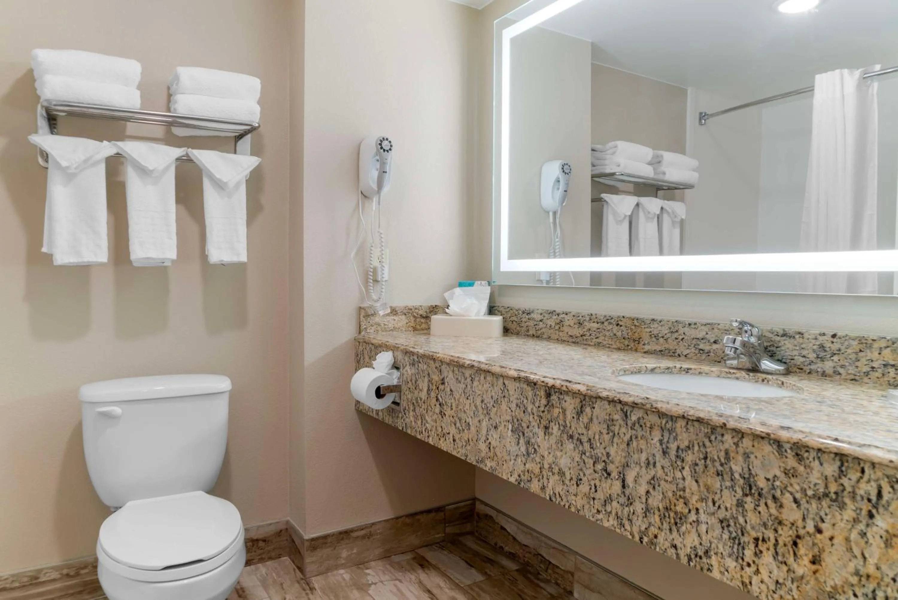 Bathroom in Best Western Executive Inn & Suites