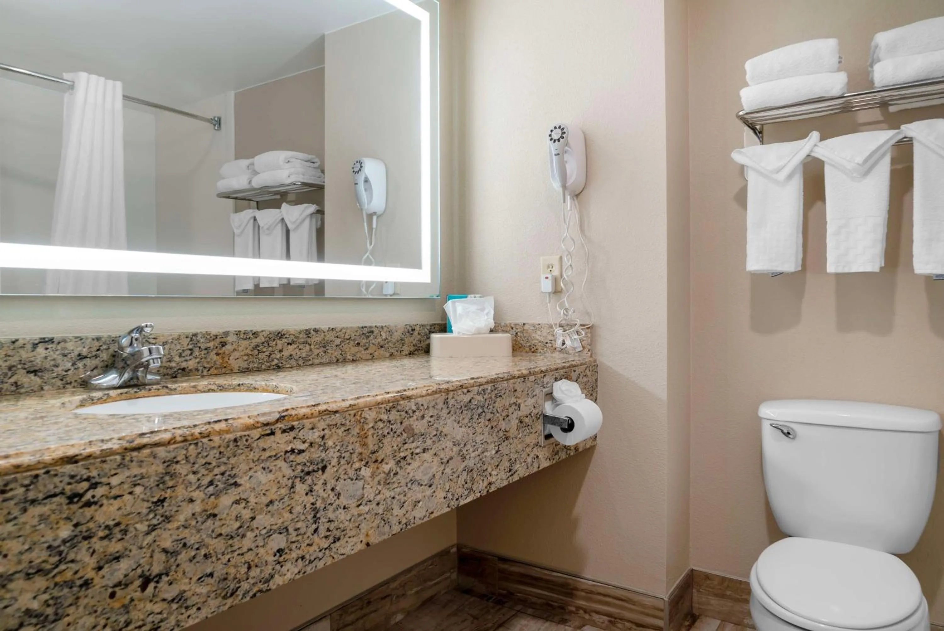 Bathroom in Best Western Executive Inn & Suites