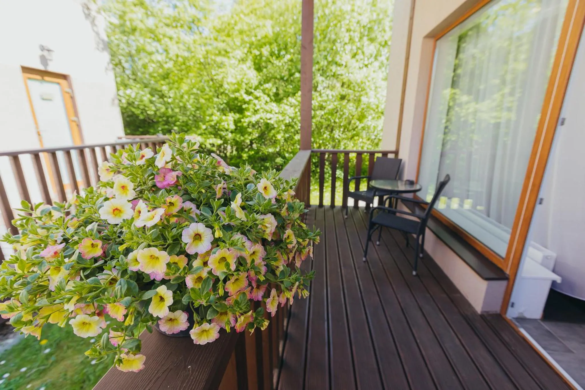 Patio in Villa Vanilla