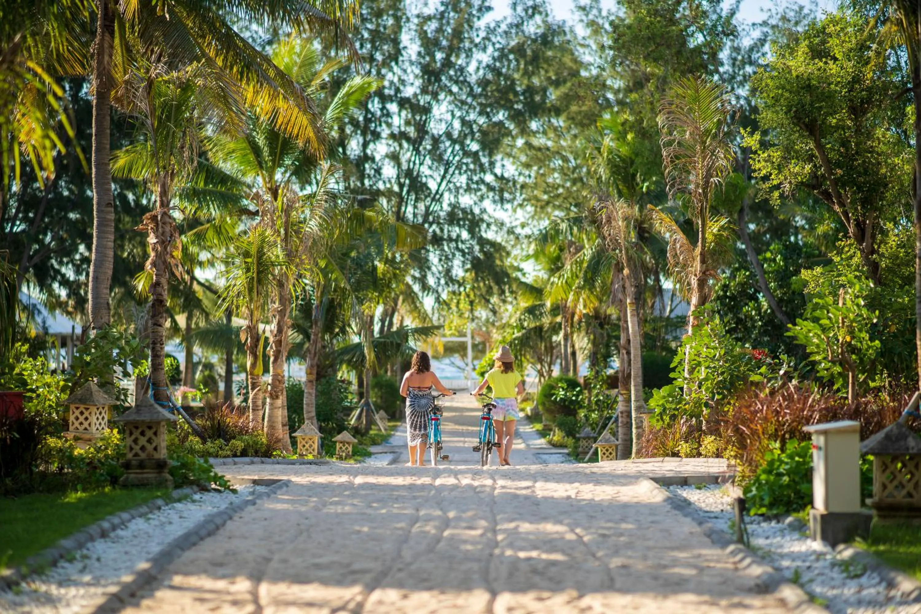 Activities in Gili Eco Villas