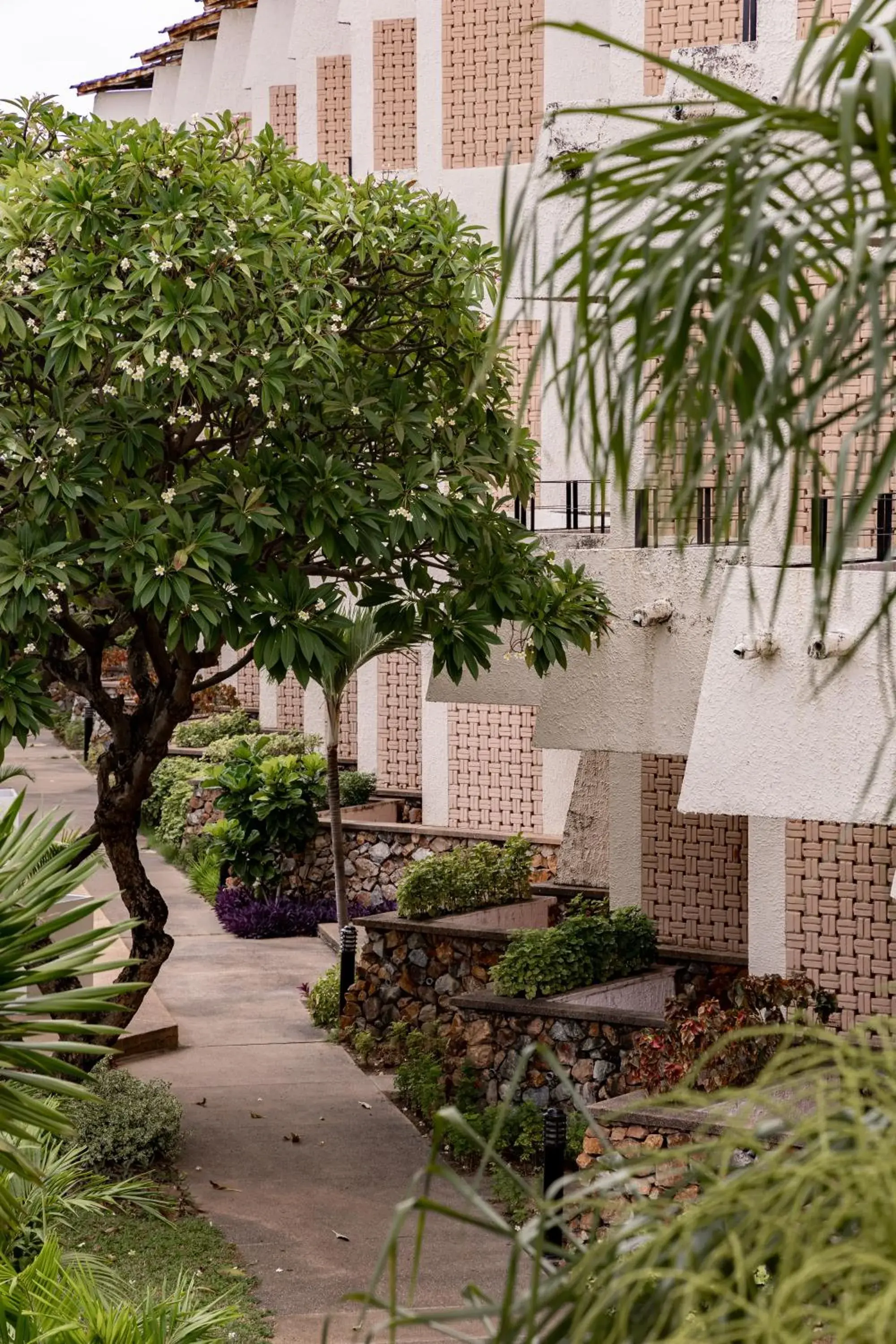 View (from property/room) in Hotel Tropicana Pattaya View (from property/room) in Hotel Tropicana Pattaya