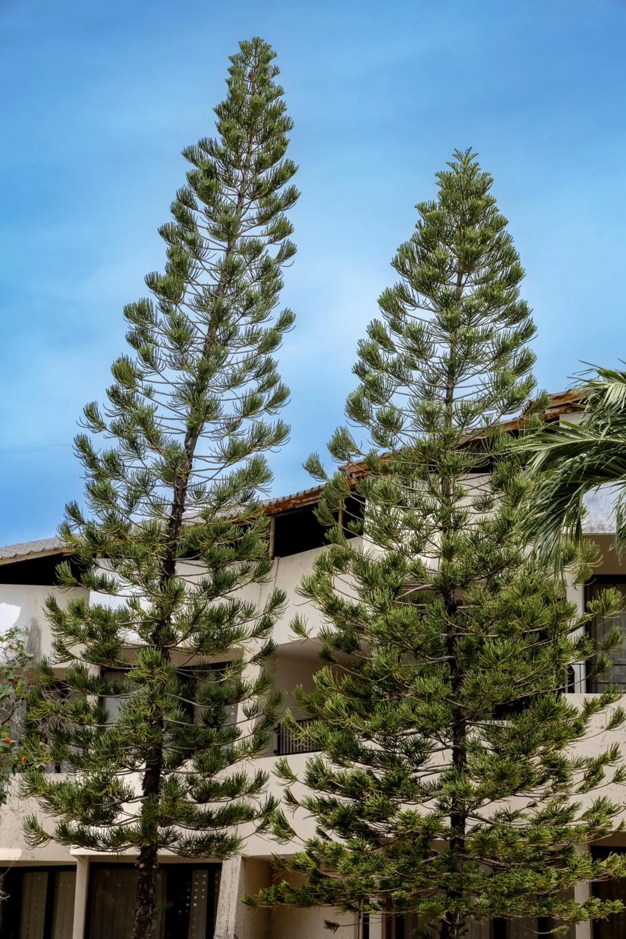 View (from property/room) in Hotel Tropicana Pattaya View (from property/room) in Hotel Tropicana Pattaya