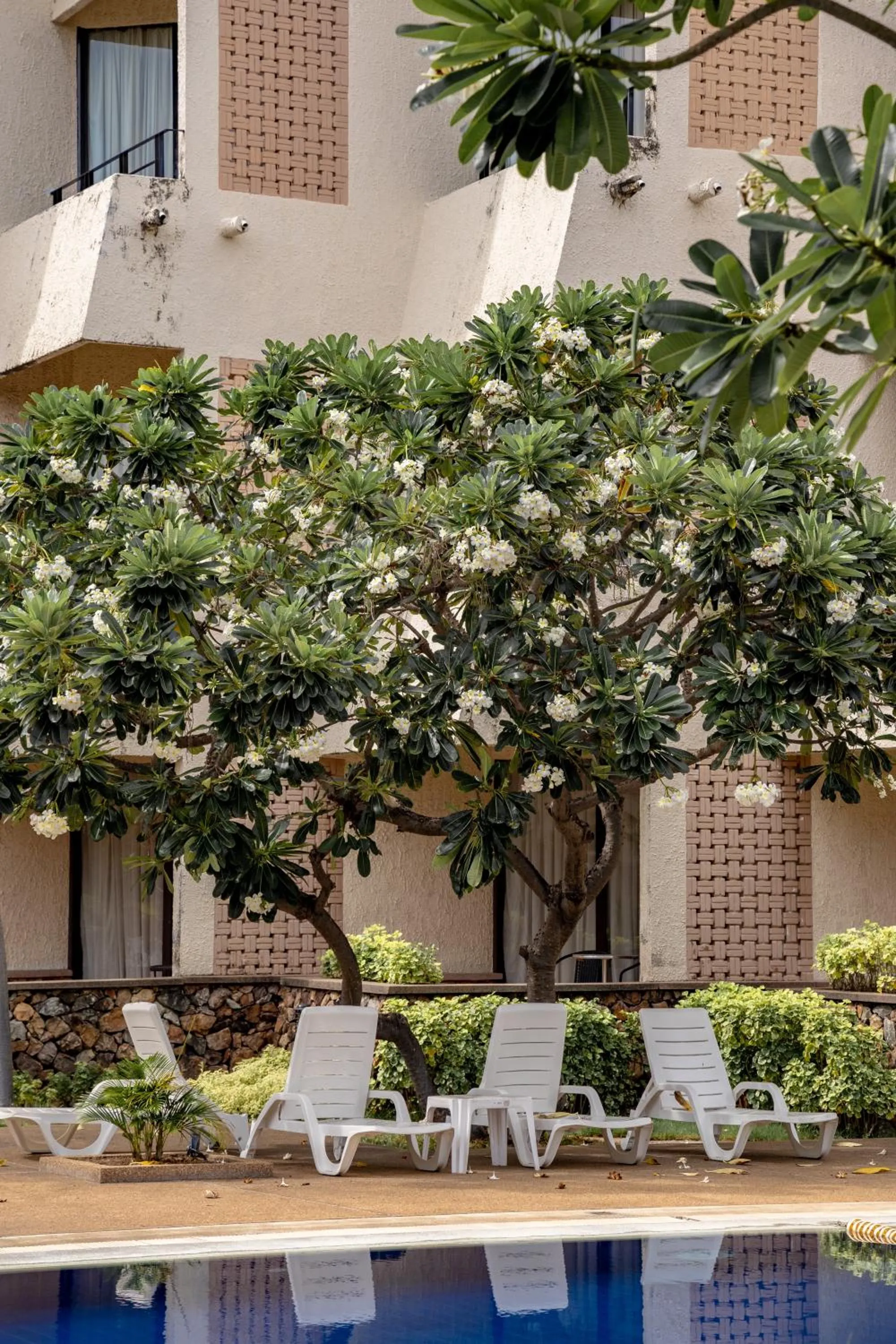 Patio in Hotel Tropicana Pattaya