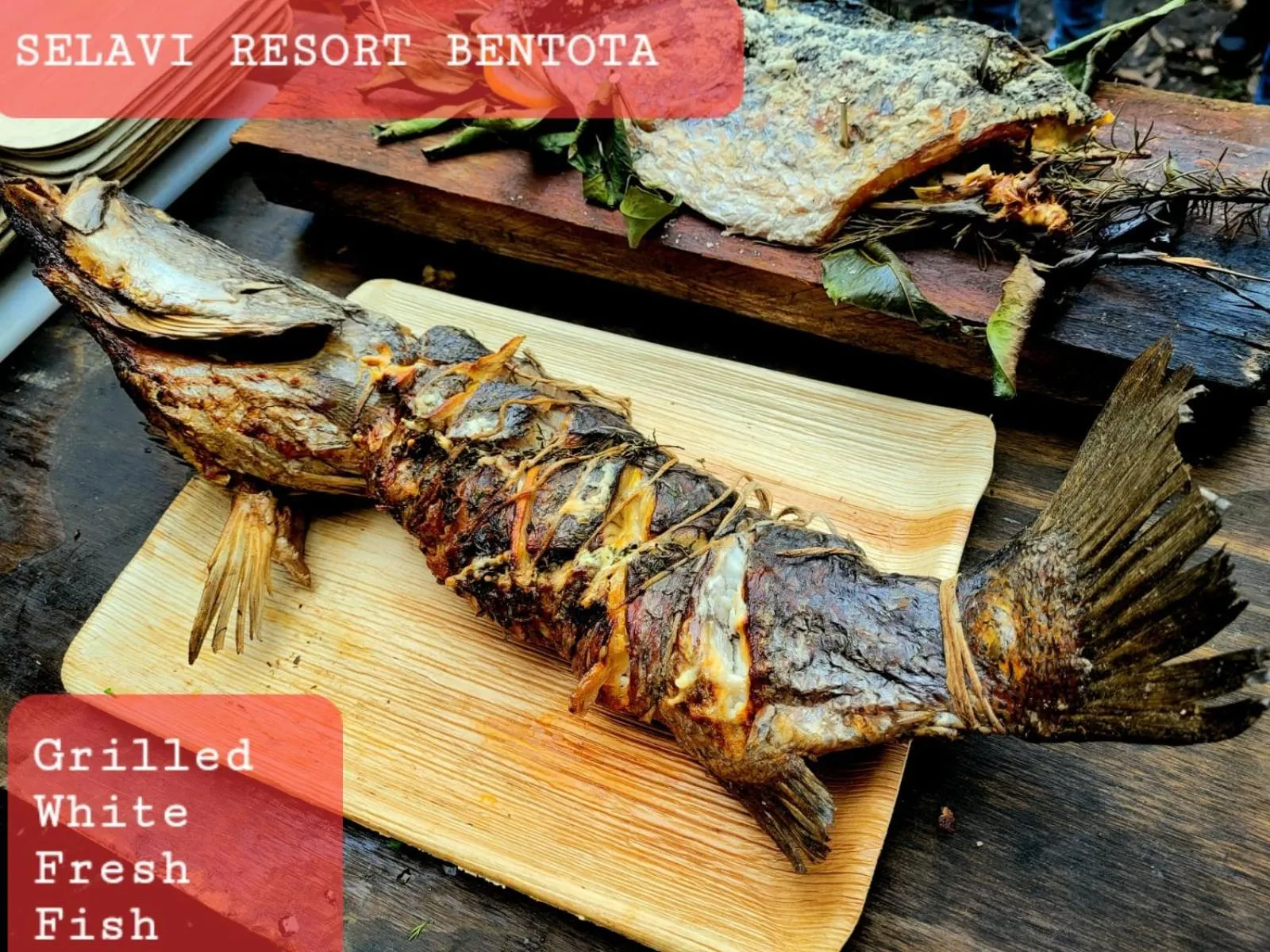 Selavi Resort Bentota