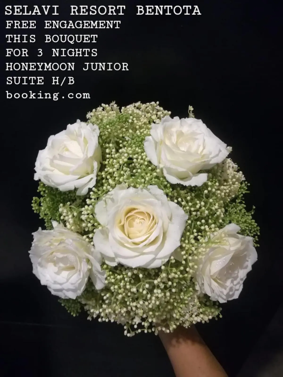 Selavi Resort Bentota