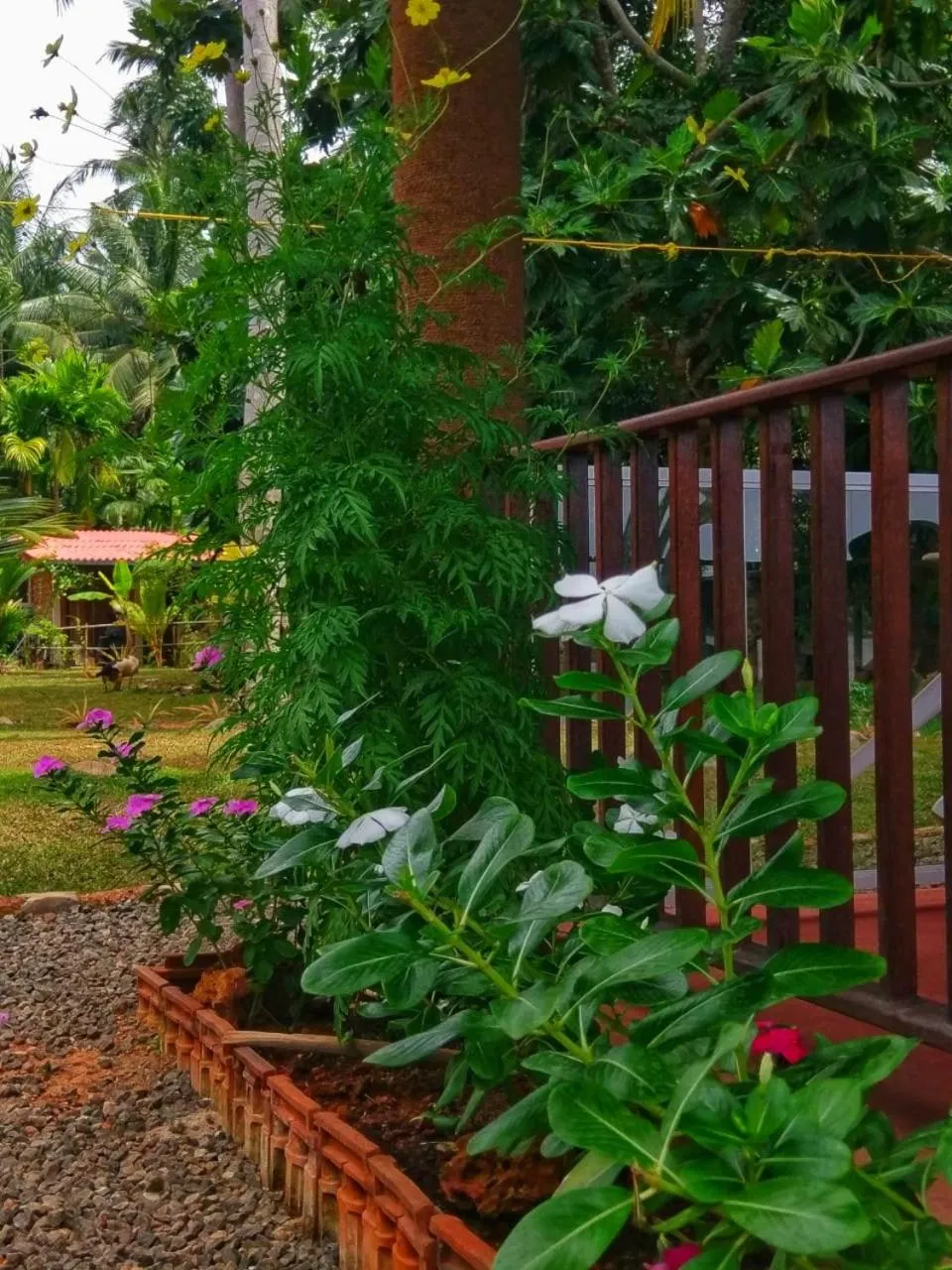 Garden in Selavi Resort Bentota