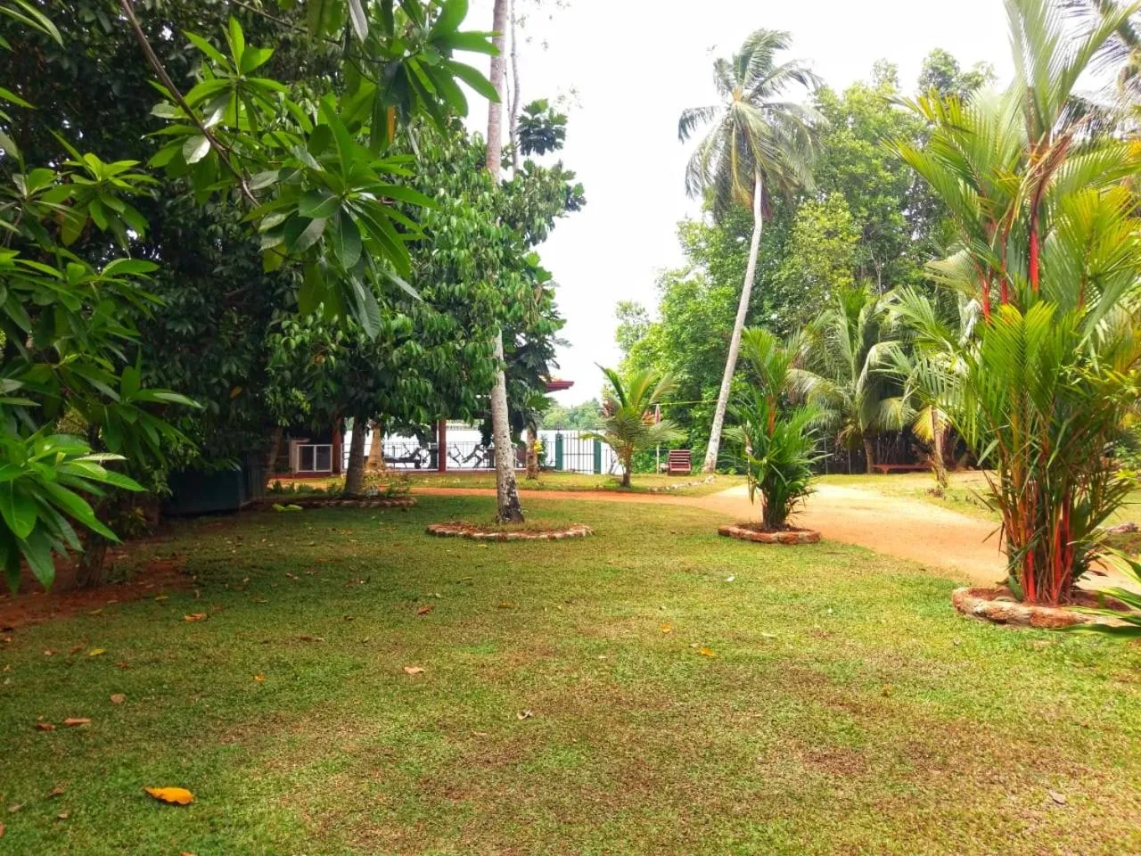 Garden in Selavi Resort Bentota