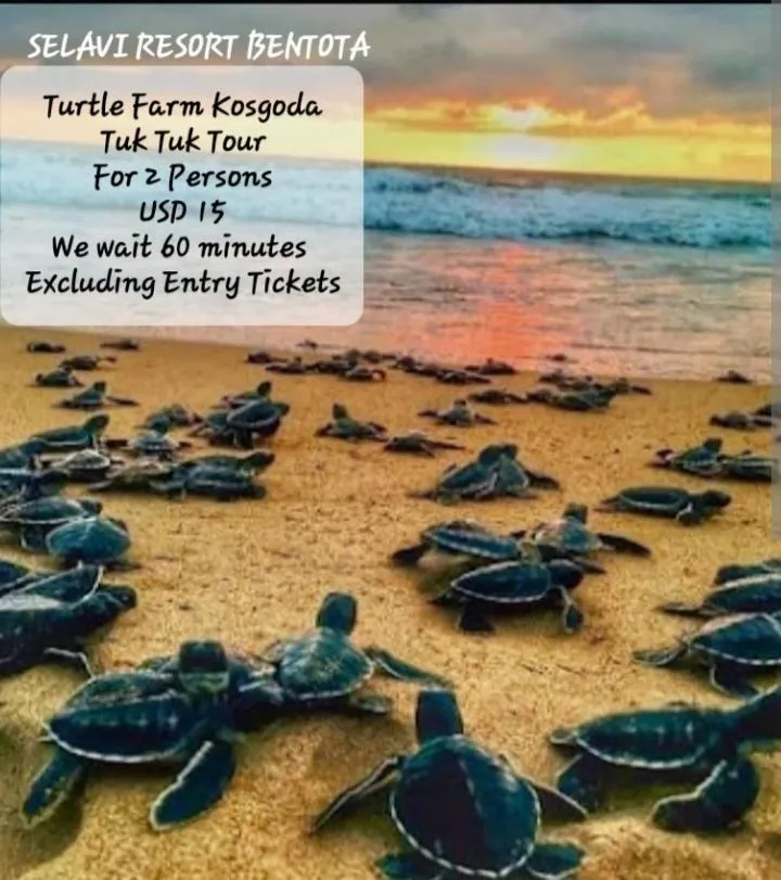 Selavi Resort Bentota