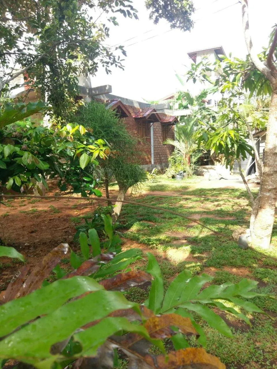 Property building in Selavi Resort Bentota