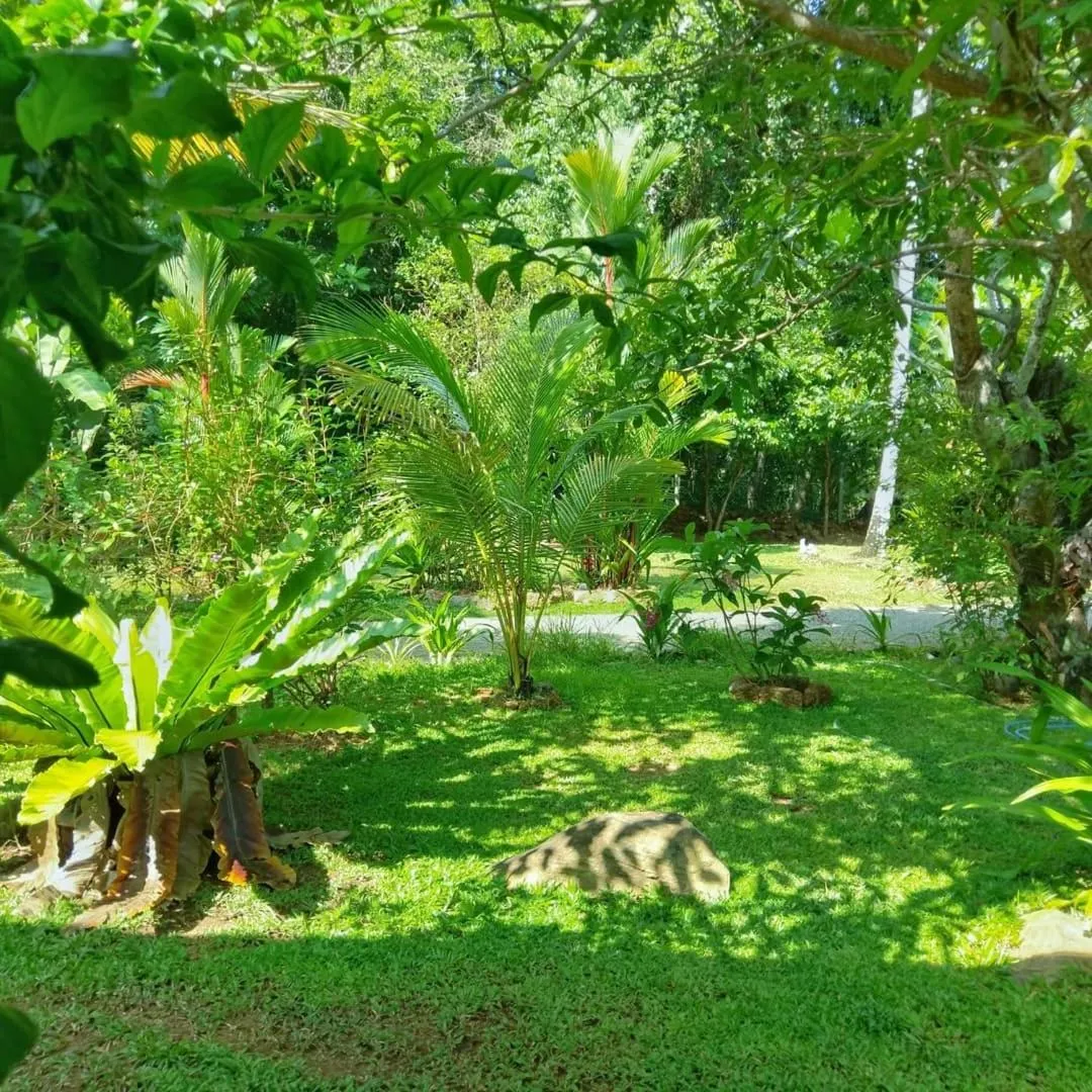 Selavi Resort Bentota