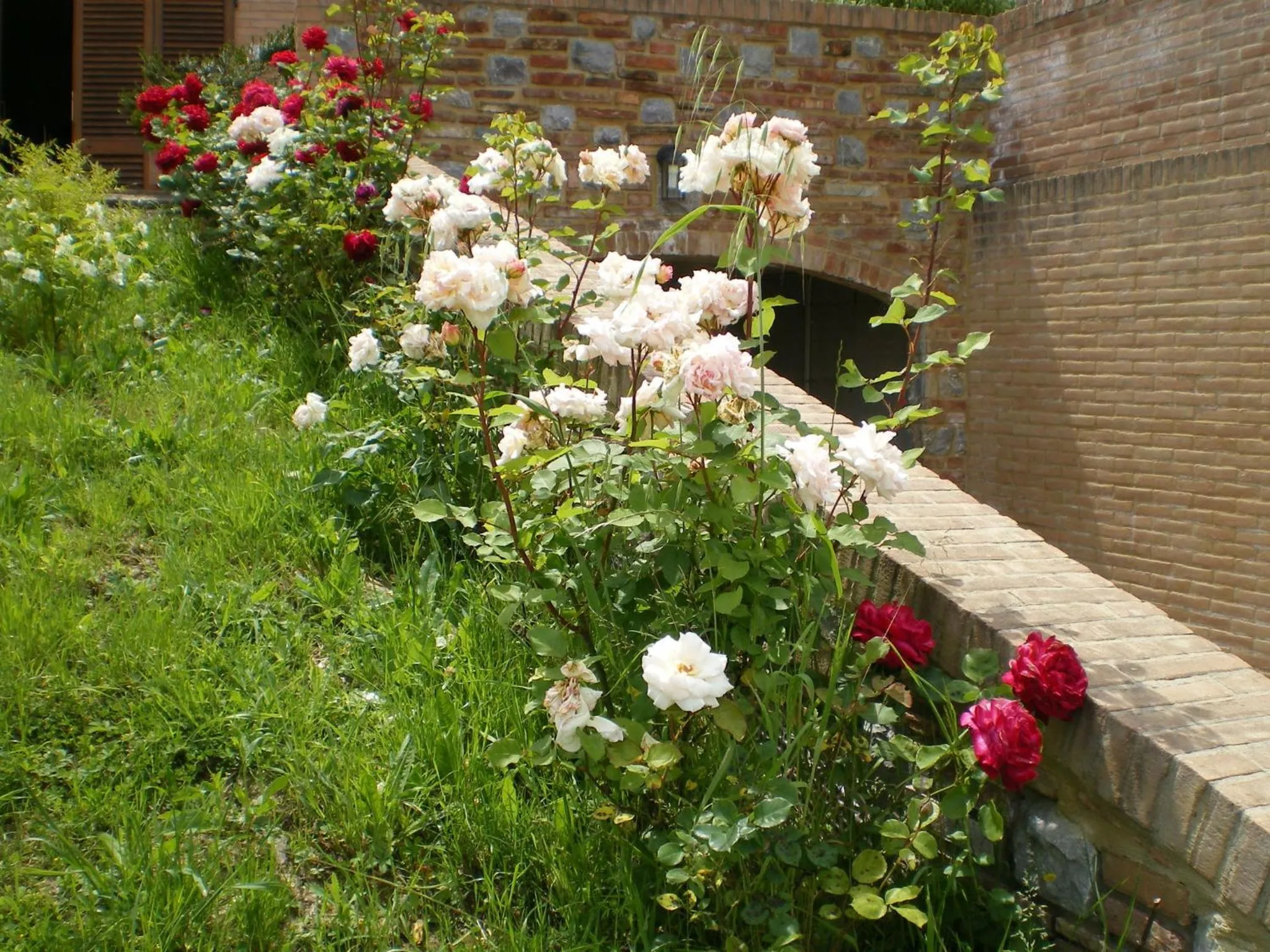 Garden in Fullino Nero Rta - Residenza Turistico Alberghiera