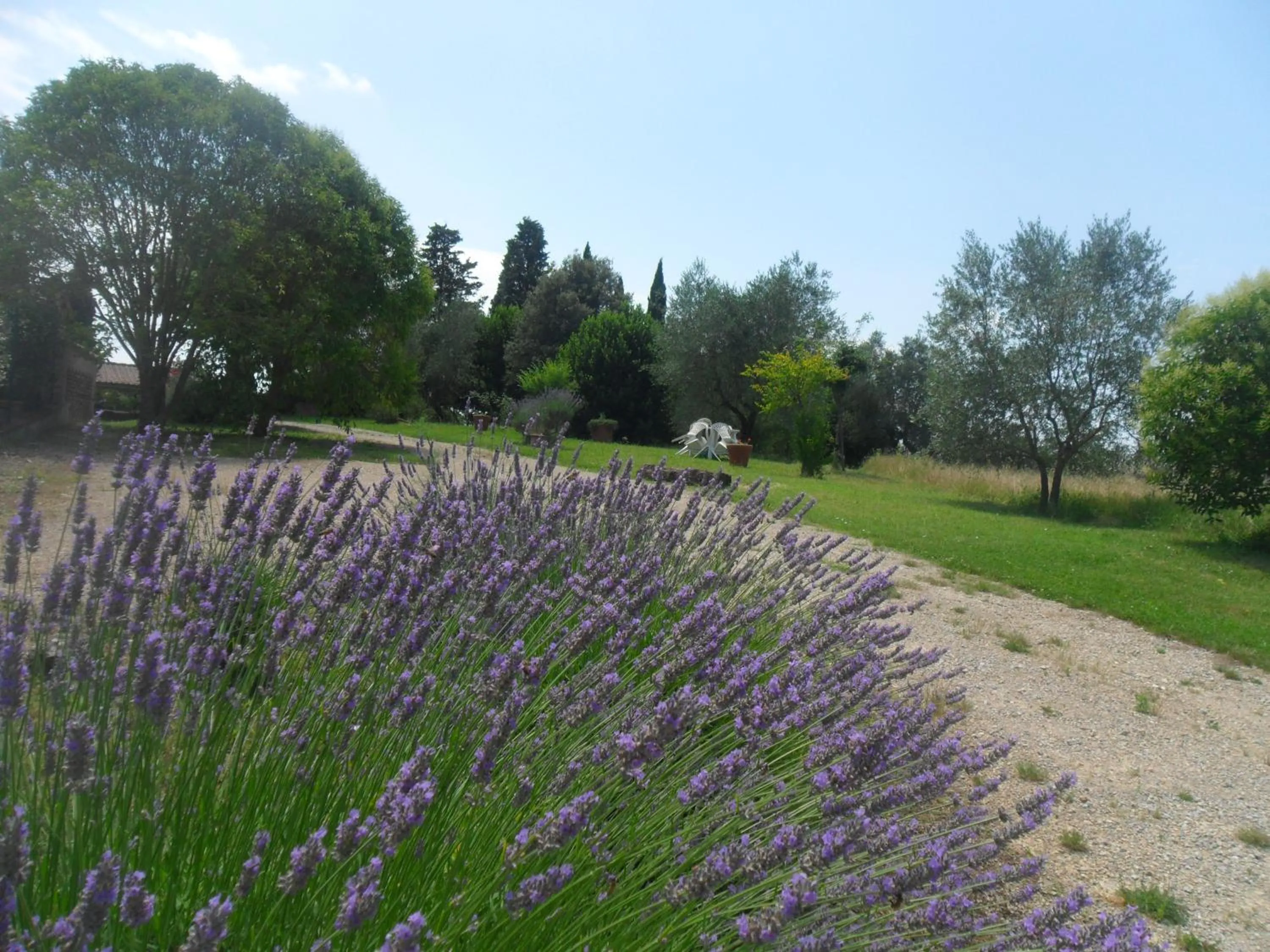 Garden in Fullino Nero Rta - Residenza Turistico Alberghiera