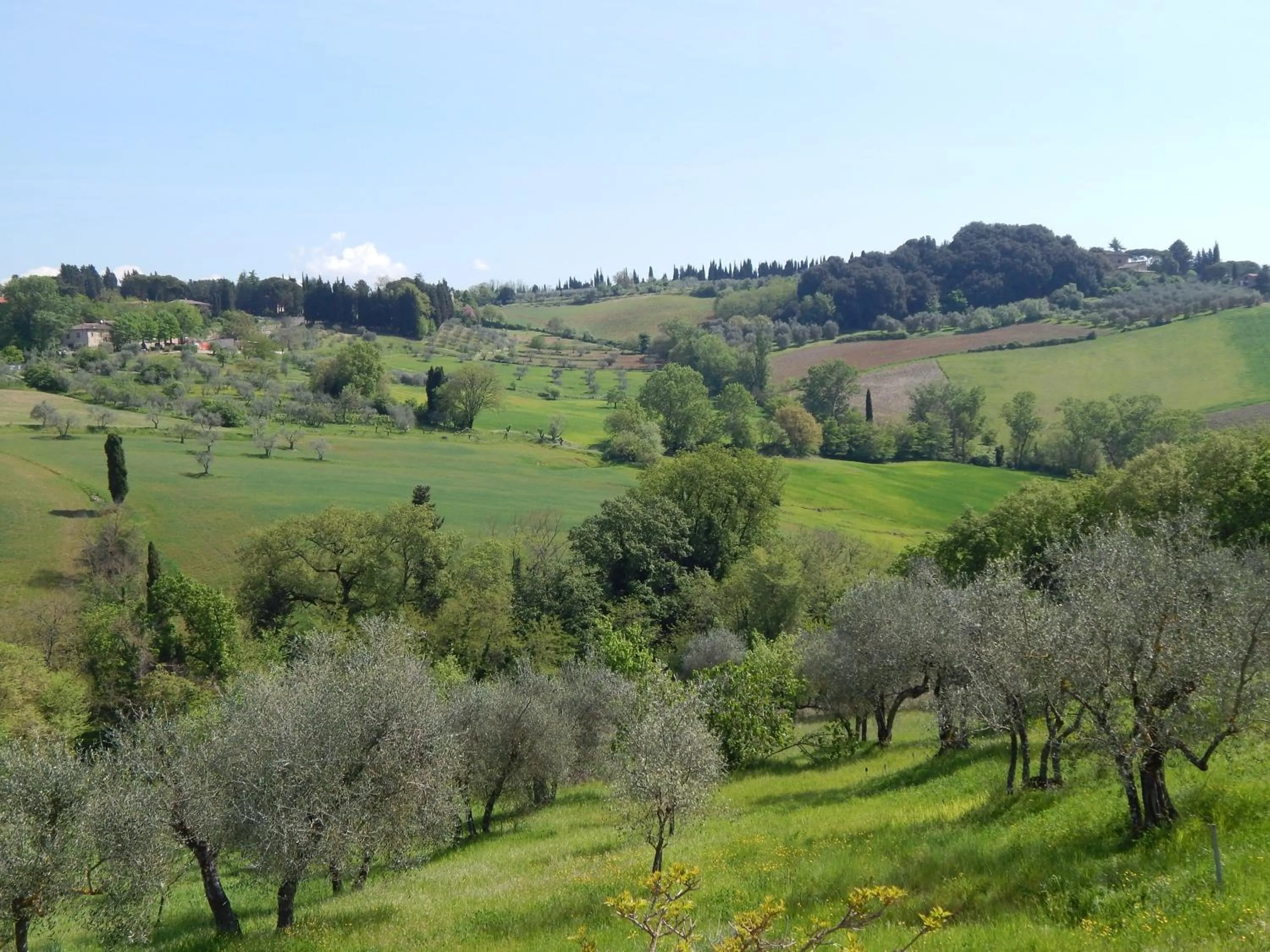 Garden in Fullino Nero Rta - Residenza Turistico Alberghiera