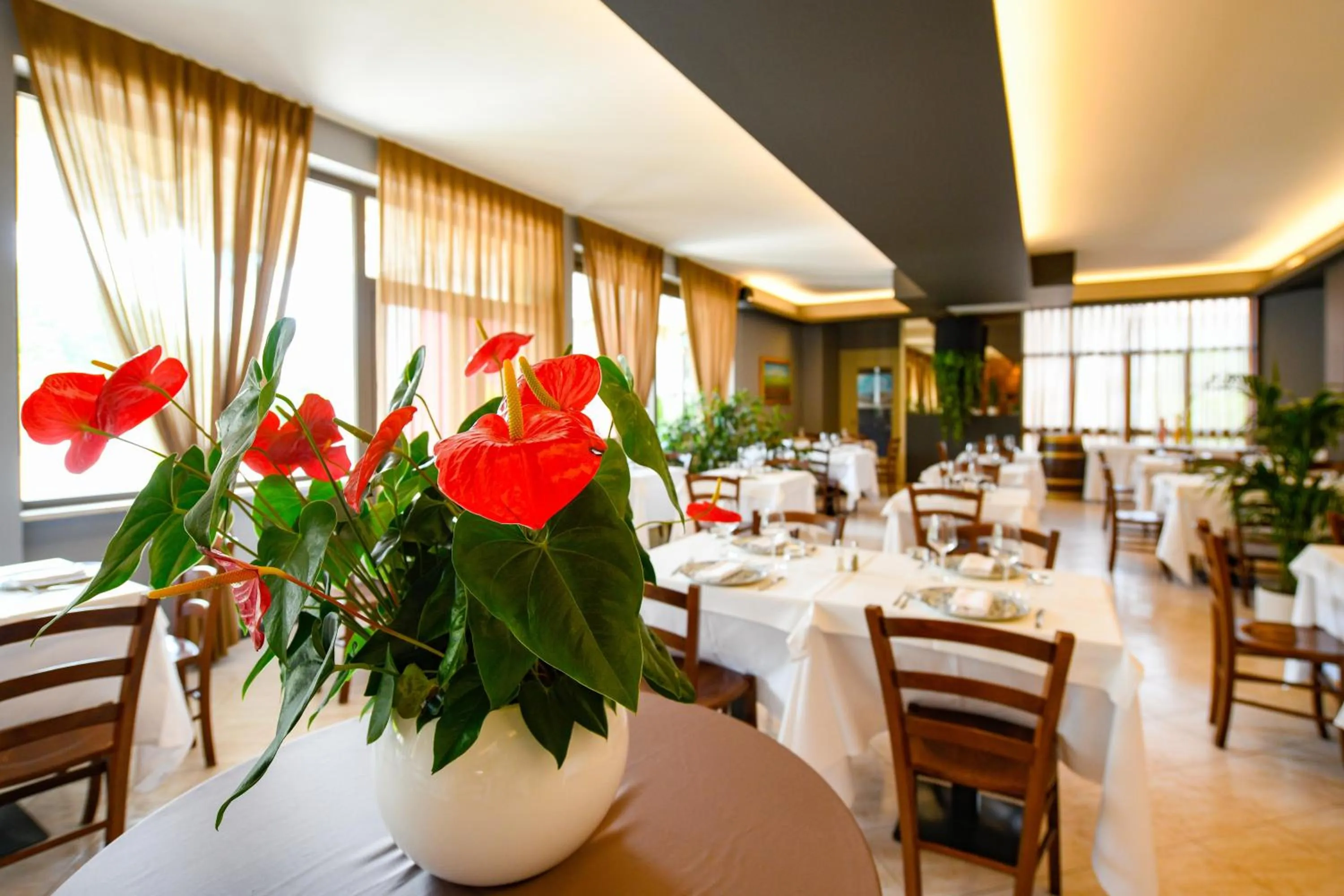 Restaurant/places to eat in Albergo Locanda Primavera