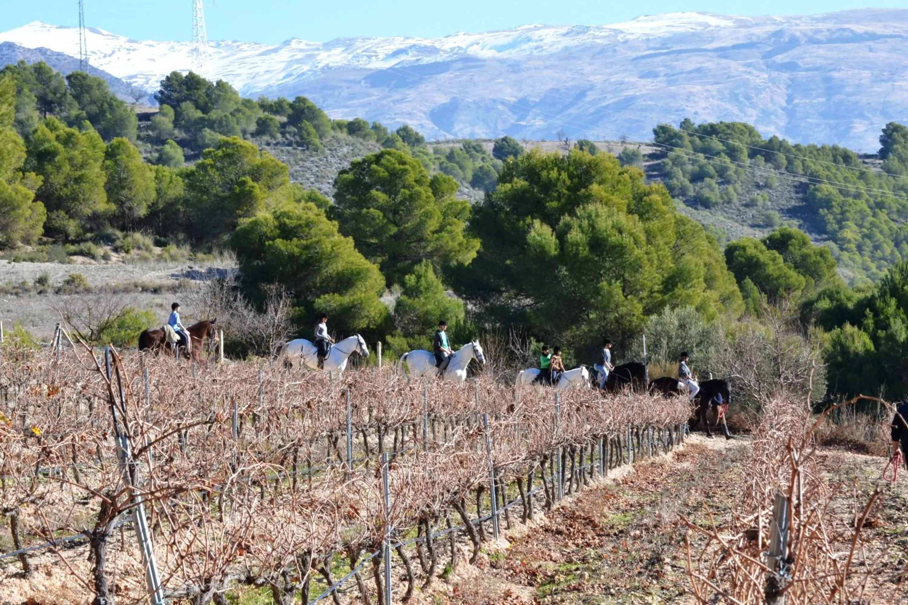 Day in Hotel & Winery Señorío de Nevada