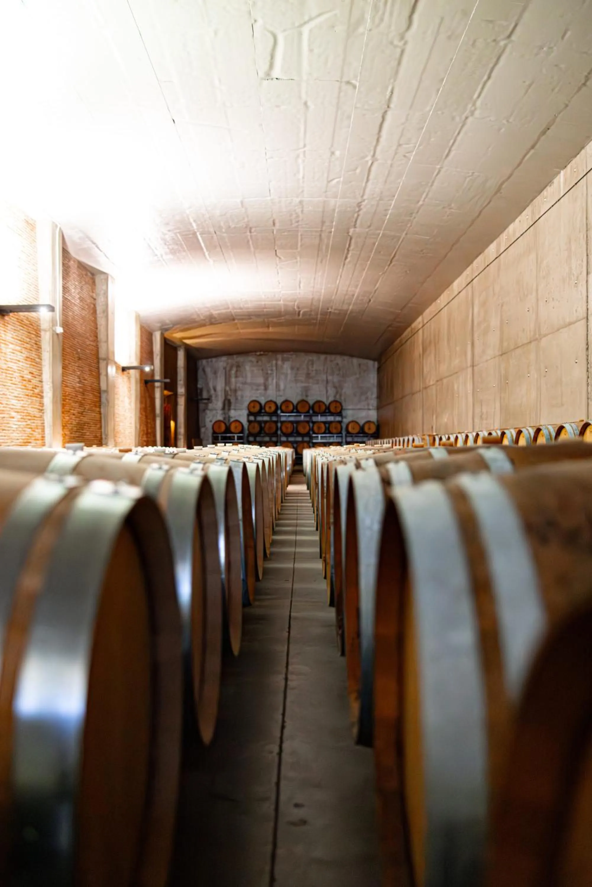 Hotel & Winery Señorío de Nevada