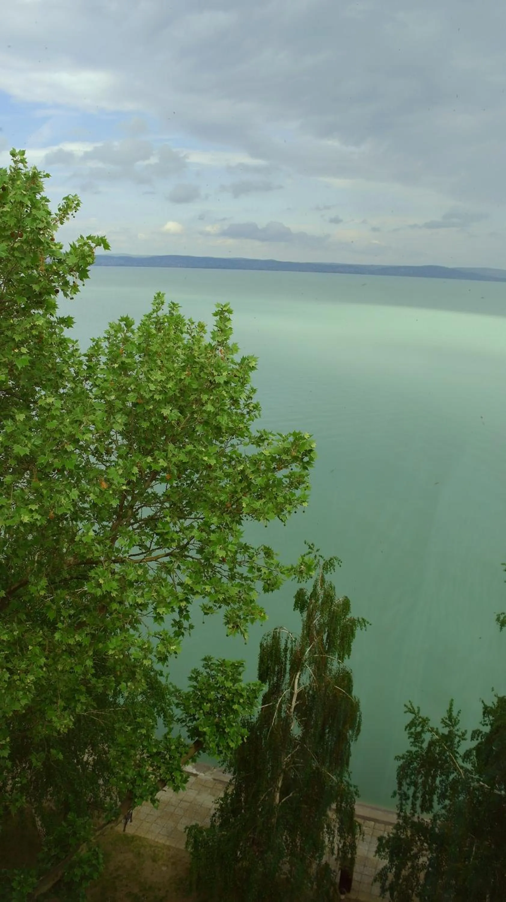 Area and facilities in Hotel Lido