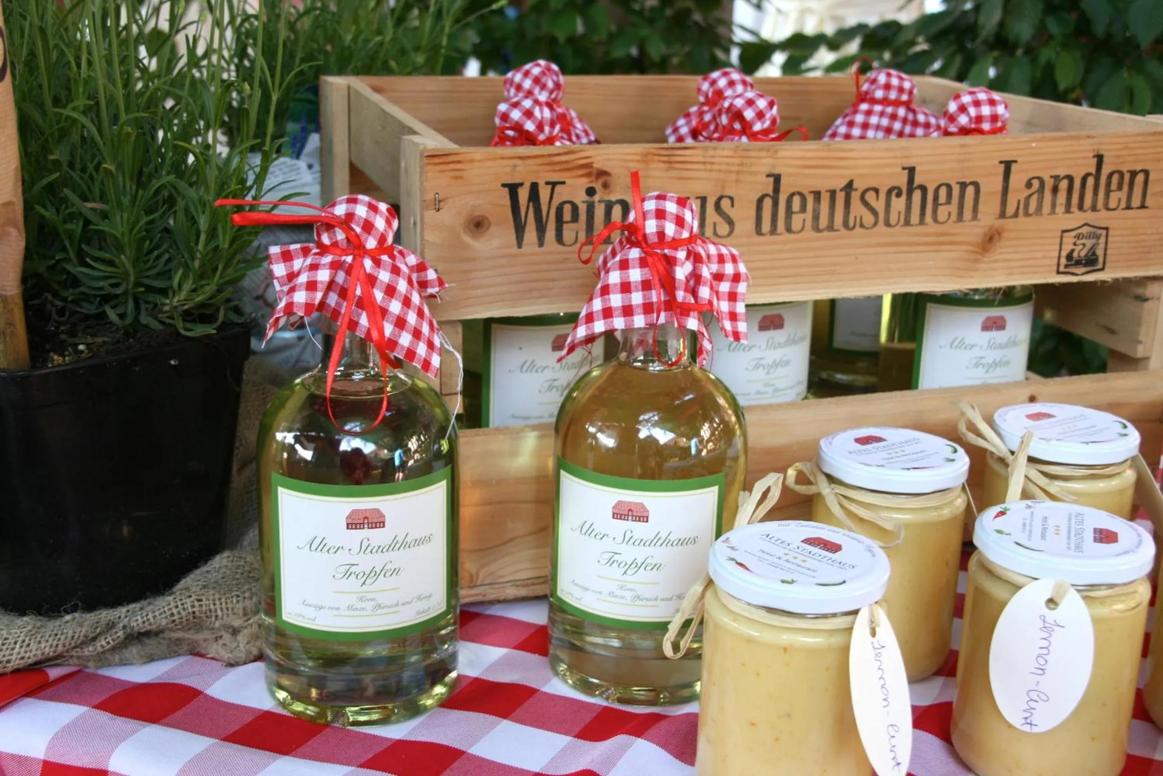 Hotel Altes Stadthaus